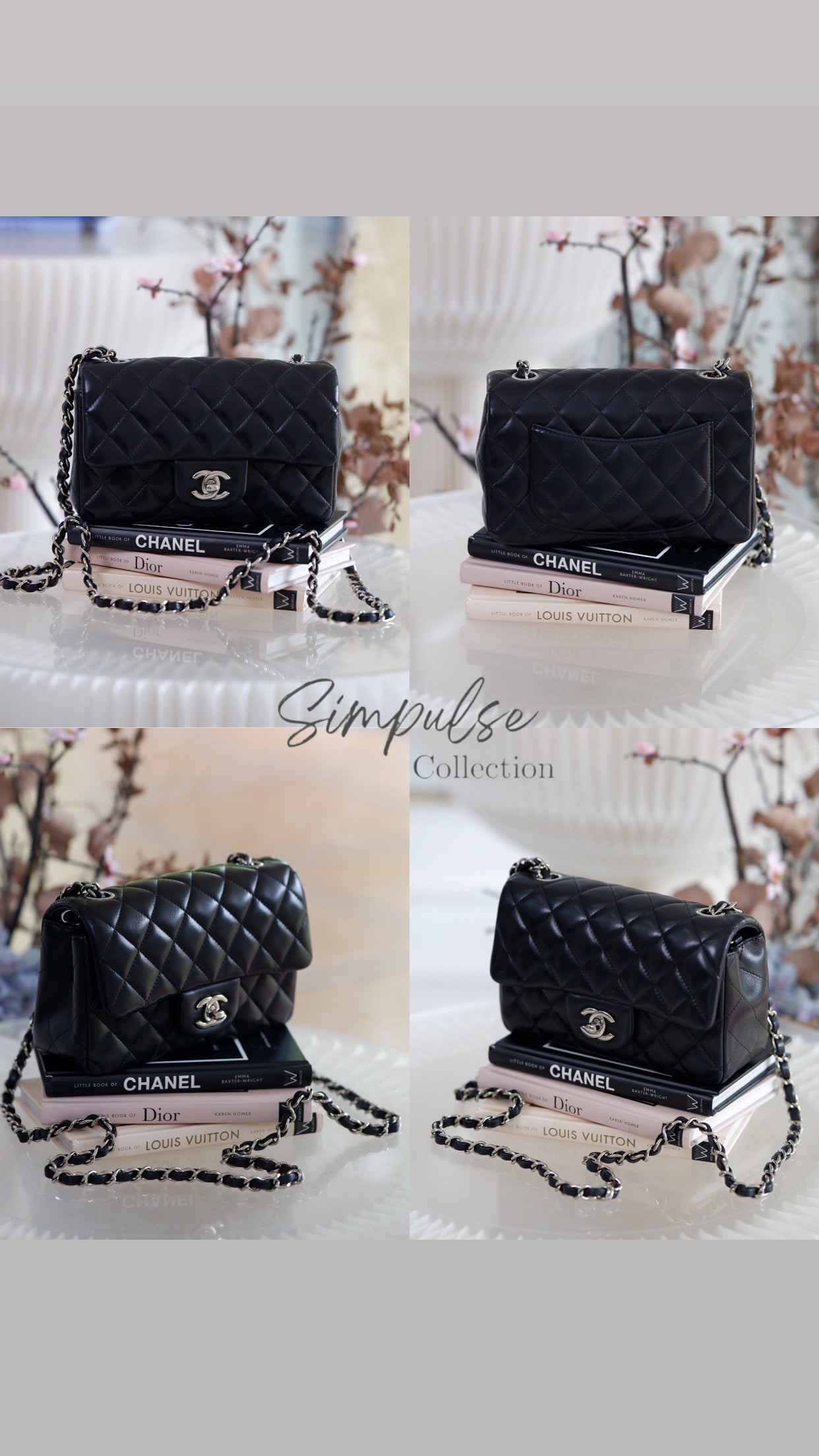 C Mini Rec Black in Lambskin Leather SHW