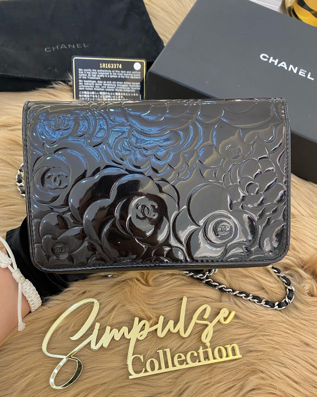 C Camellia Patent WOC