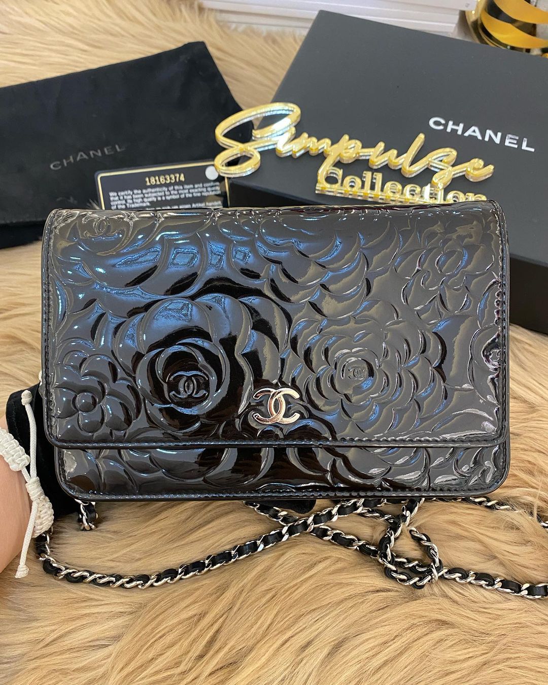 C Camellia Patent WOC