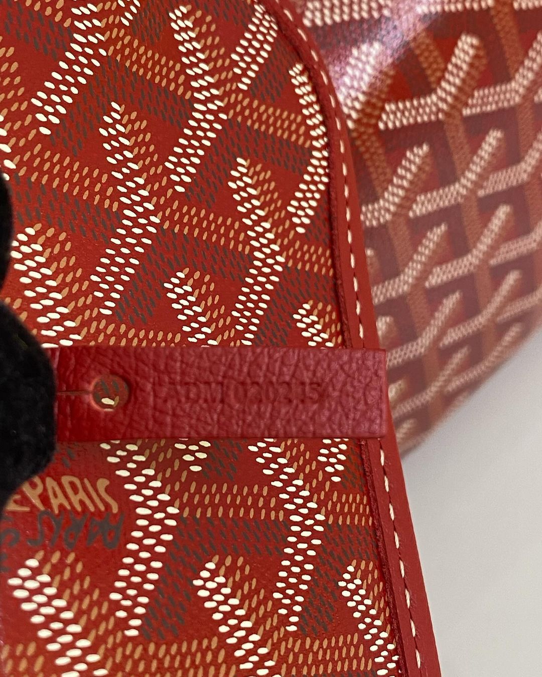 Goyard St. Louis Pm Size in Red