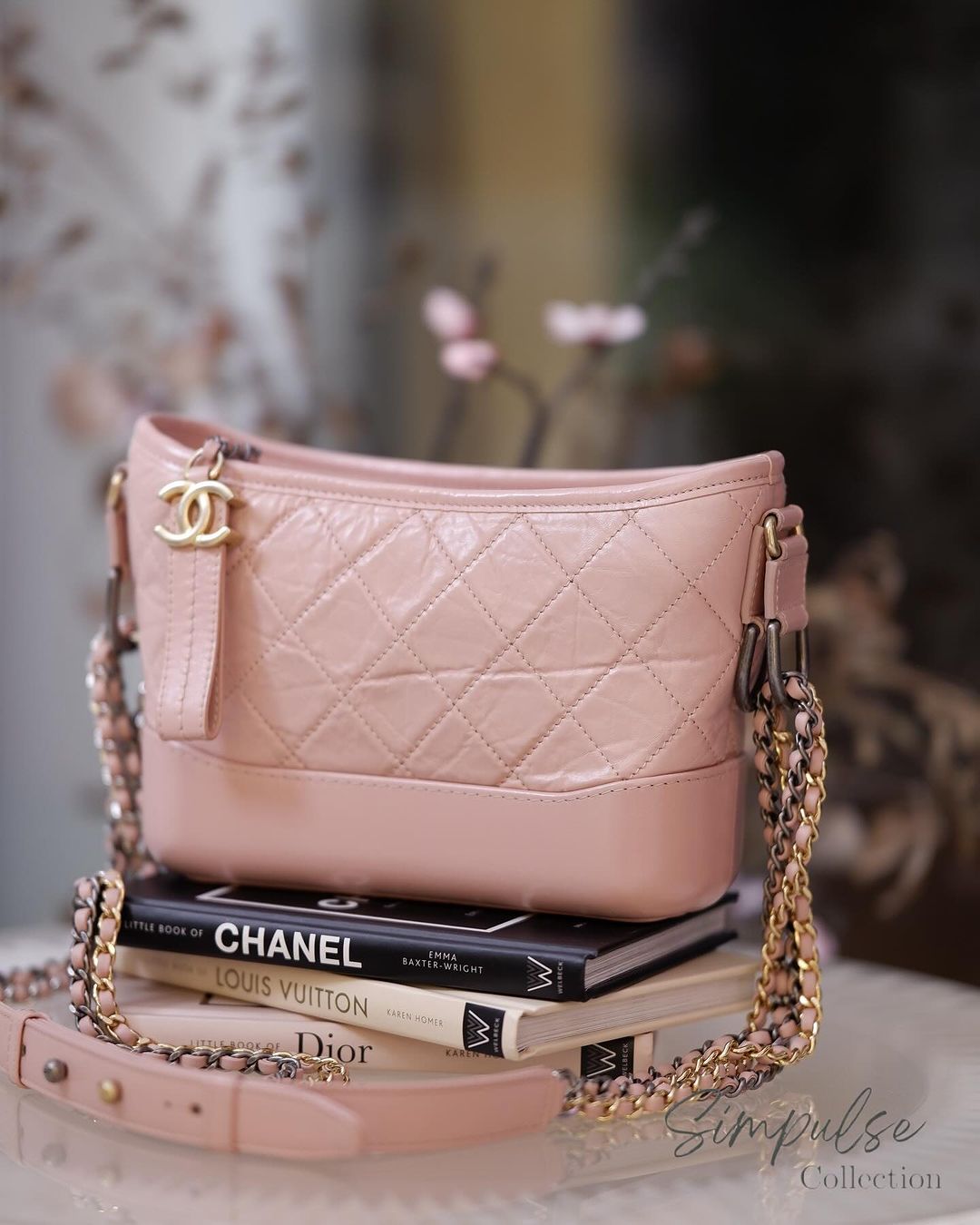 C Pink Gabrielle Hobo Small