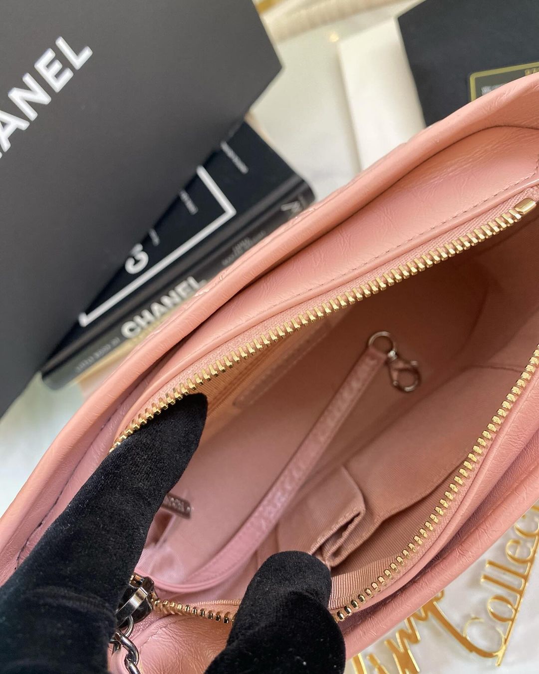 C Pink Gabrielle Hobo Small