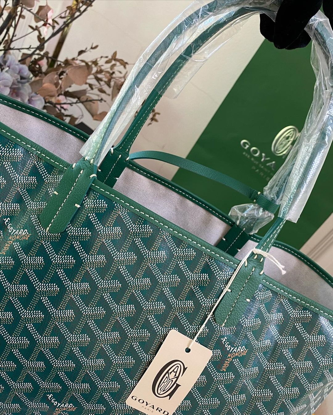 G St. Louis Pm Size in Green