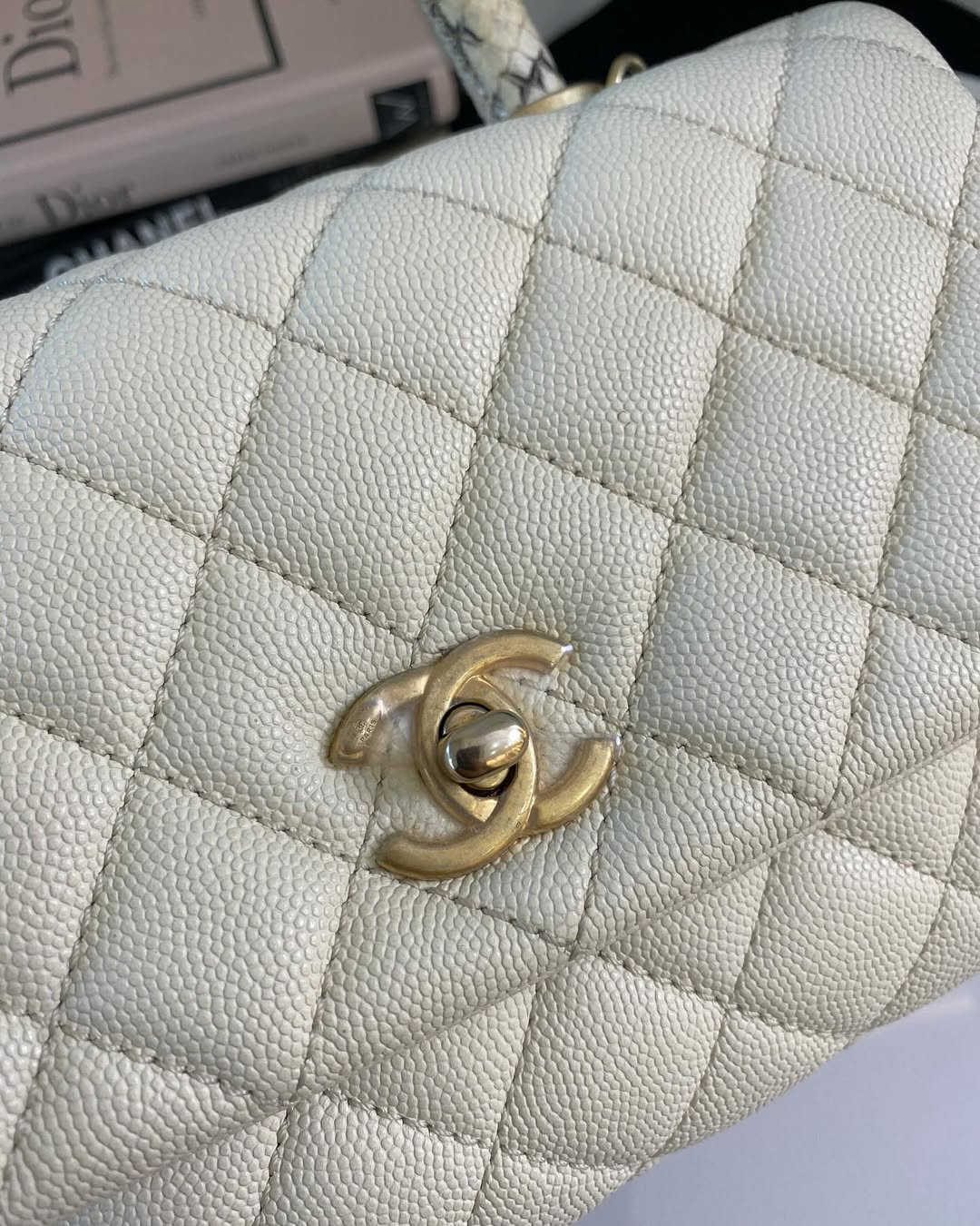 C Coco White Small GHW (Exotic Handle)