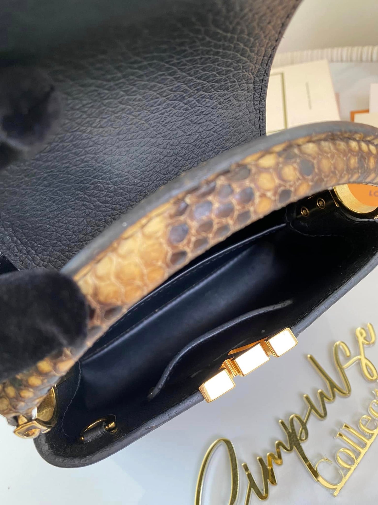 Mini Python Capuccine
