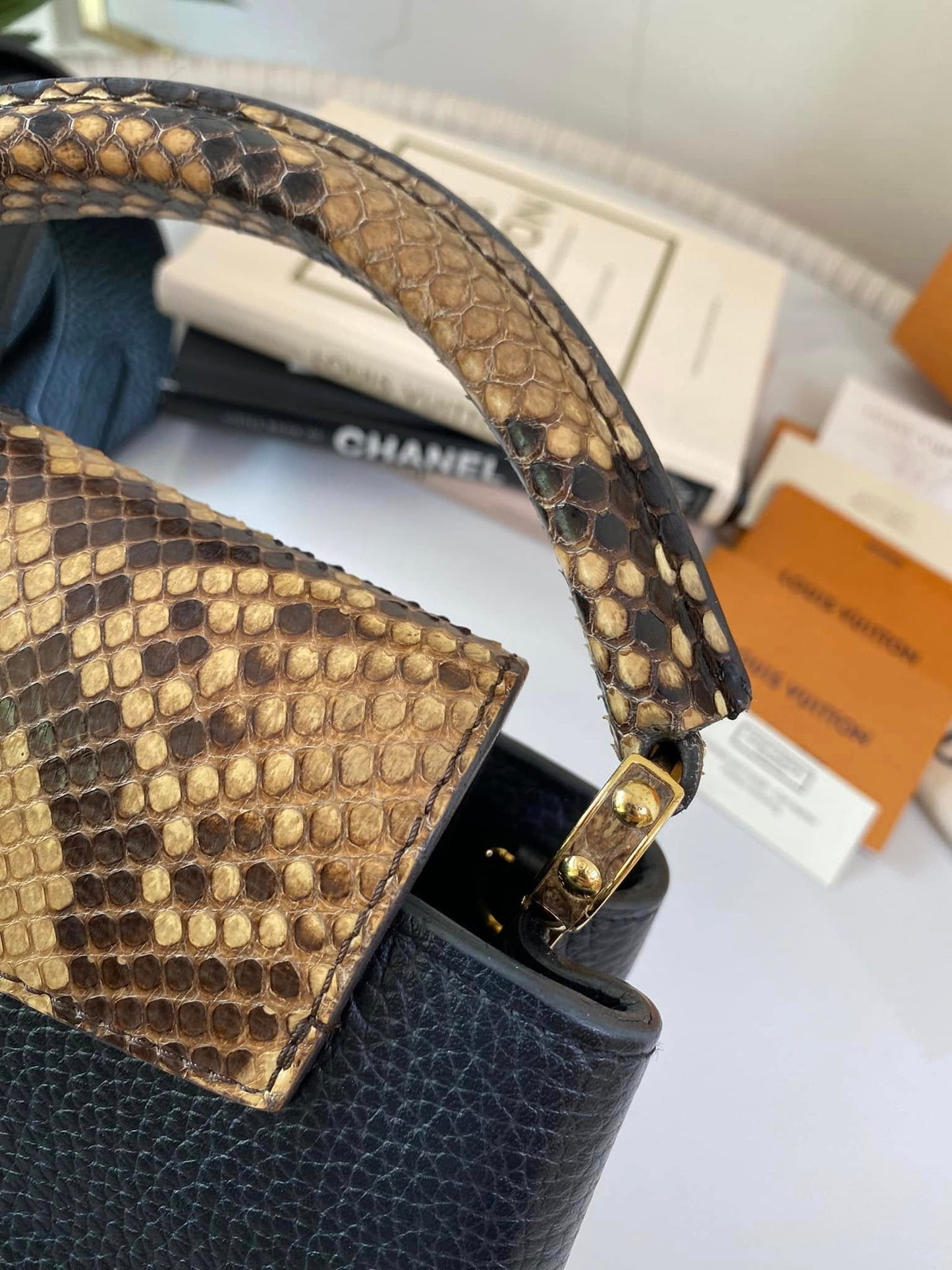 Mini Python Capuccine