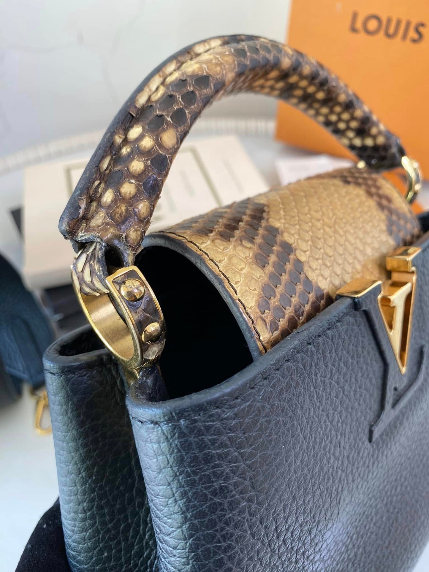 Mini Python Capuccine