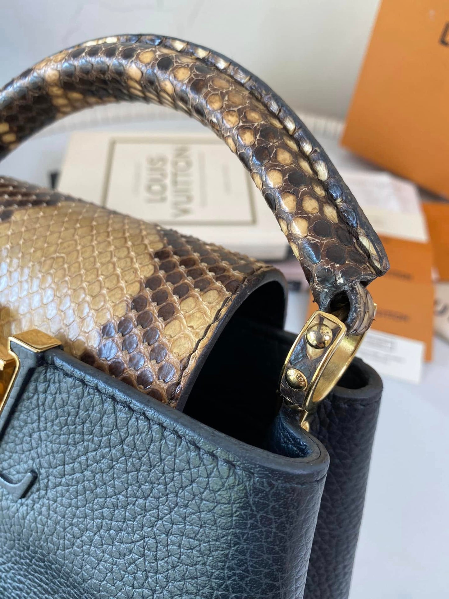 Mini Python Capuccine