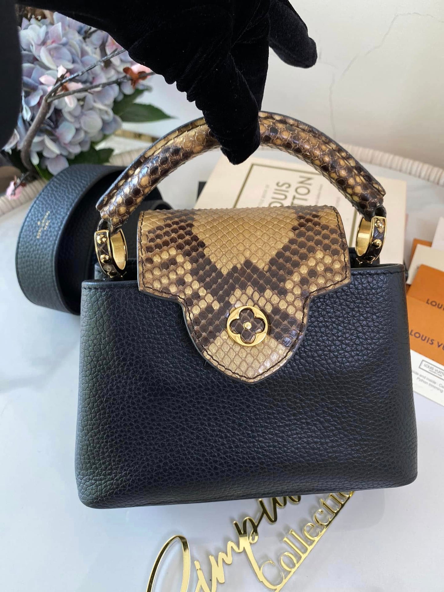 Mini Python Capuccine