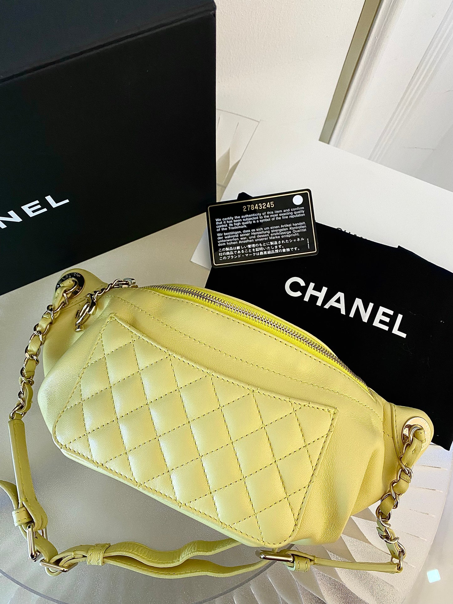 Chanel Bi Classic Quilted Waist Bag