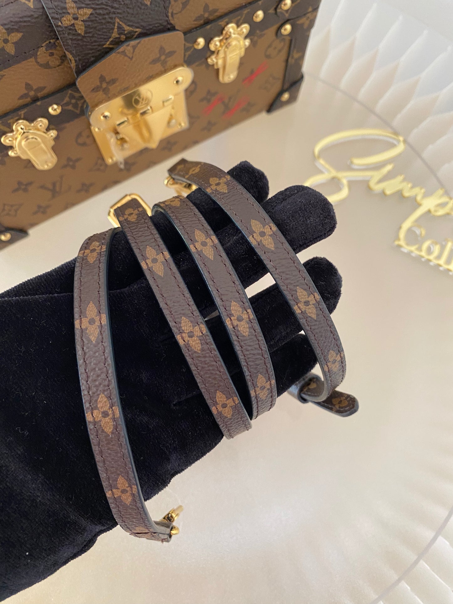Louis Vuitton Mono Reverse Petite Malle