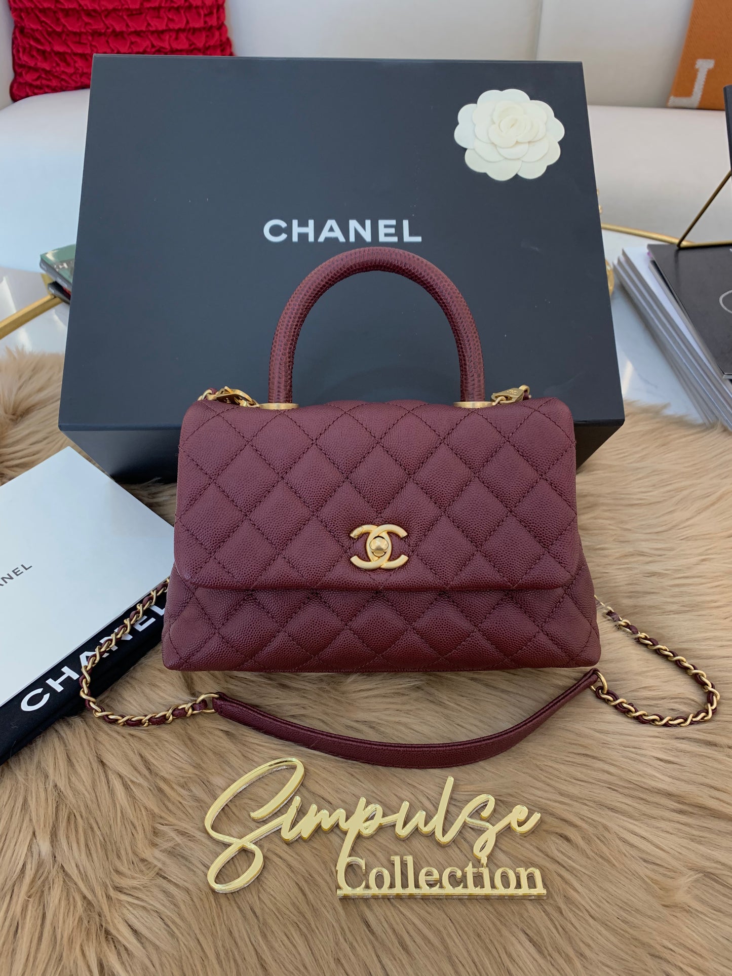C Coco Small in Burgandy