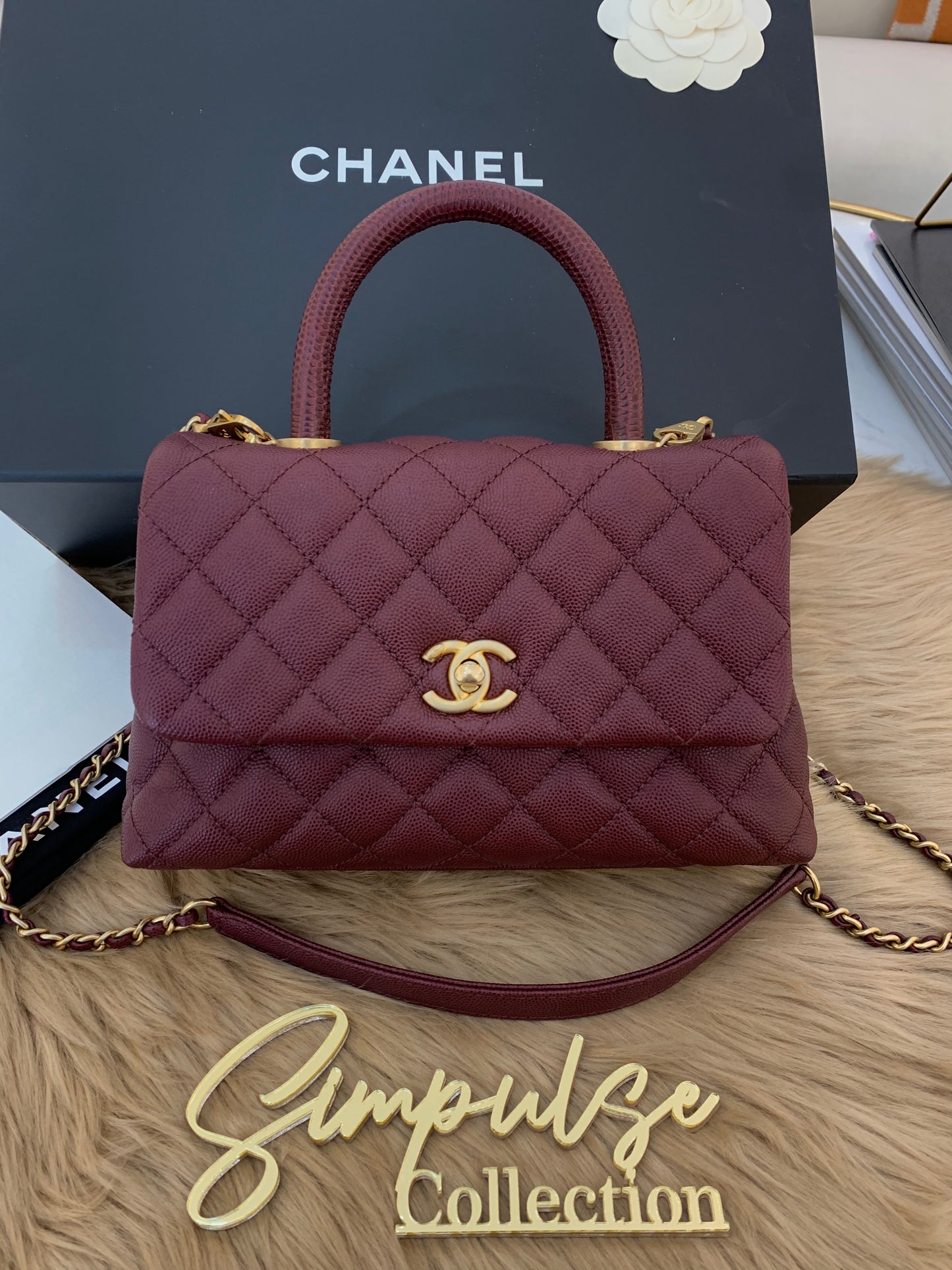 C Coco Small in Burgandy