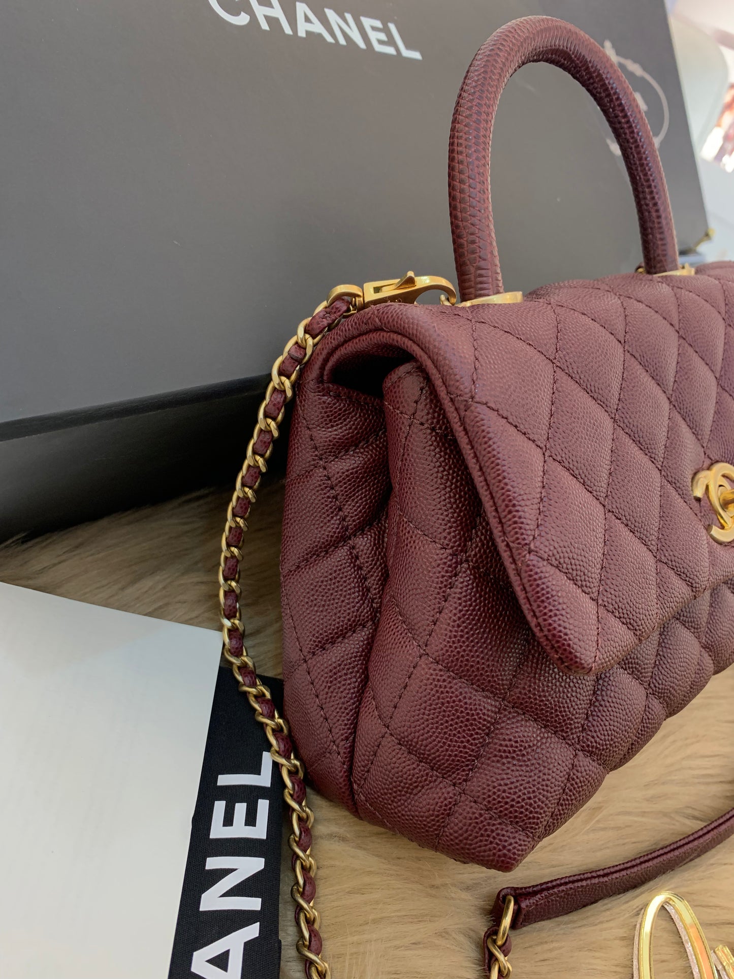 C Coco Small in Burgandy