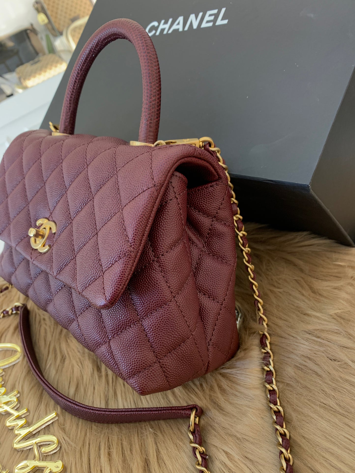 C Coco Small in Burgandy