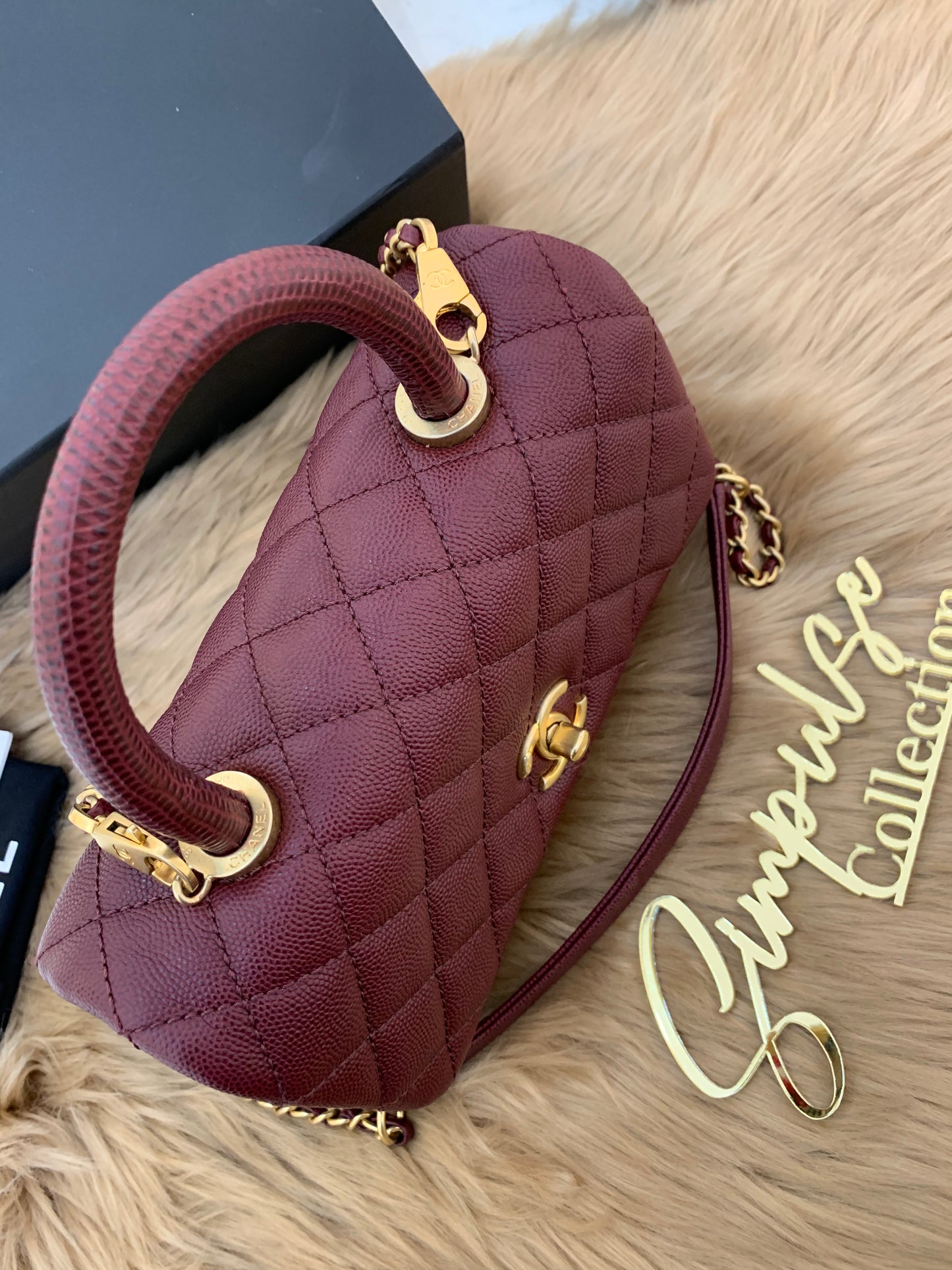 C Coco Small in Burgandy