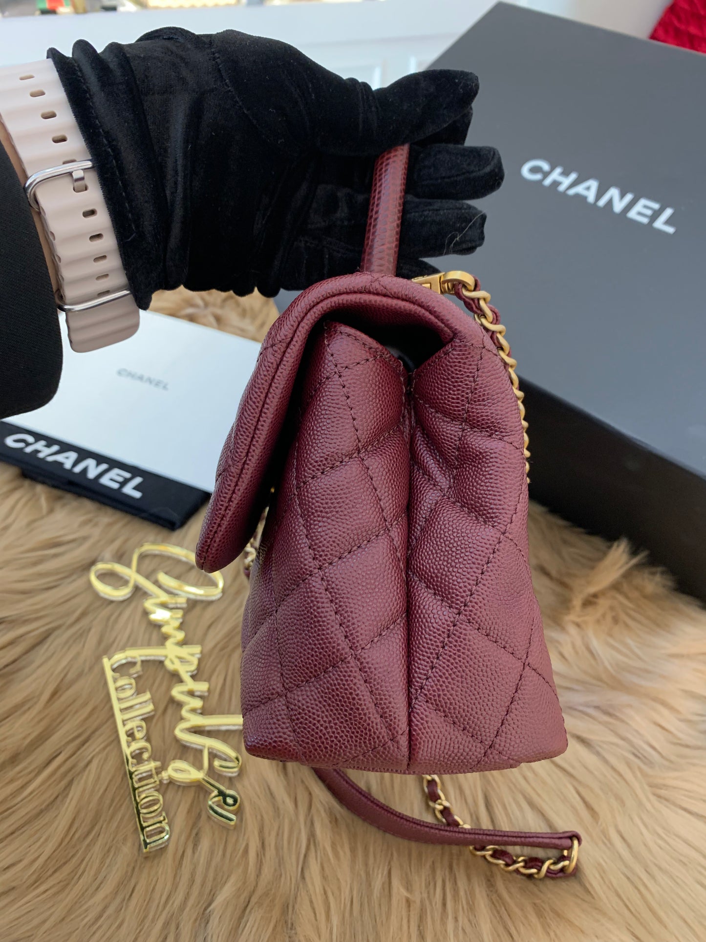 C Coco Small in Burgandy