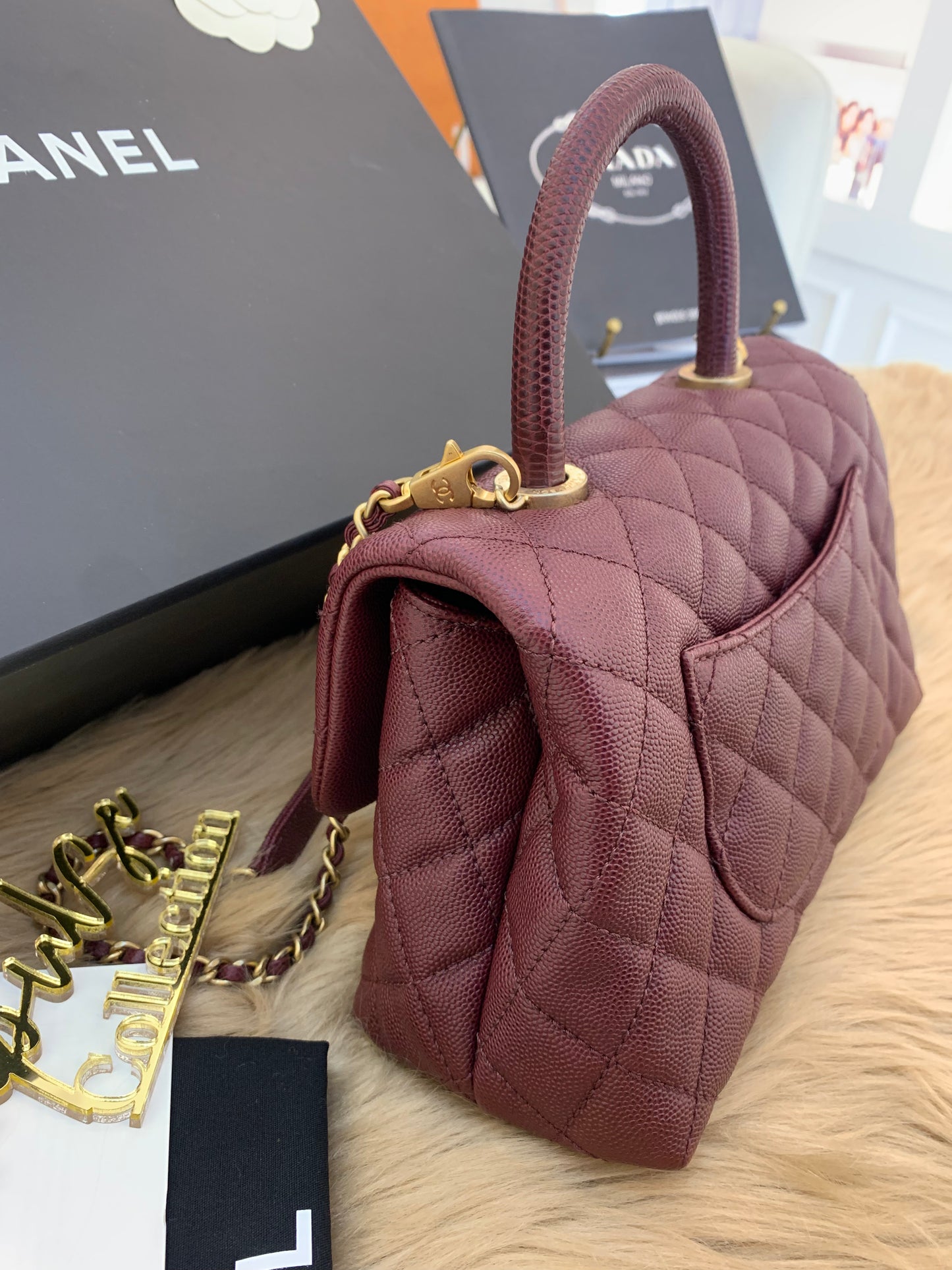 C Coco Small in Burgandy