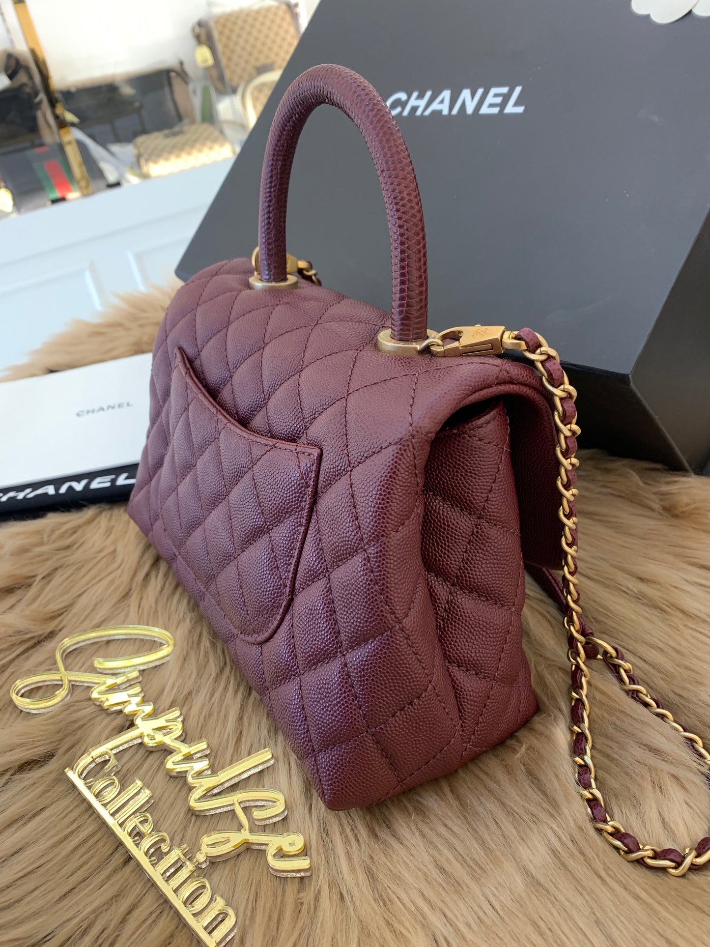 C Coco Small in Burgandy
