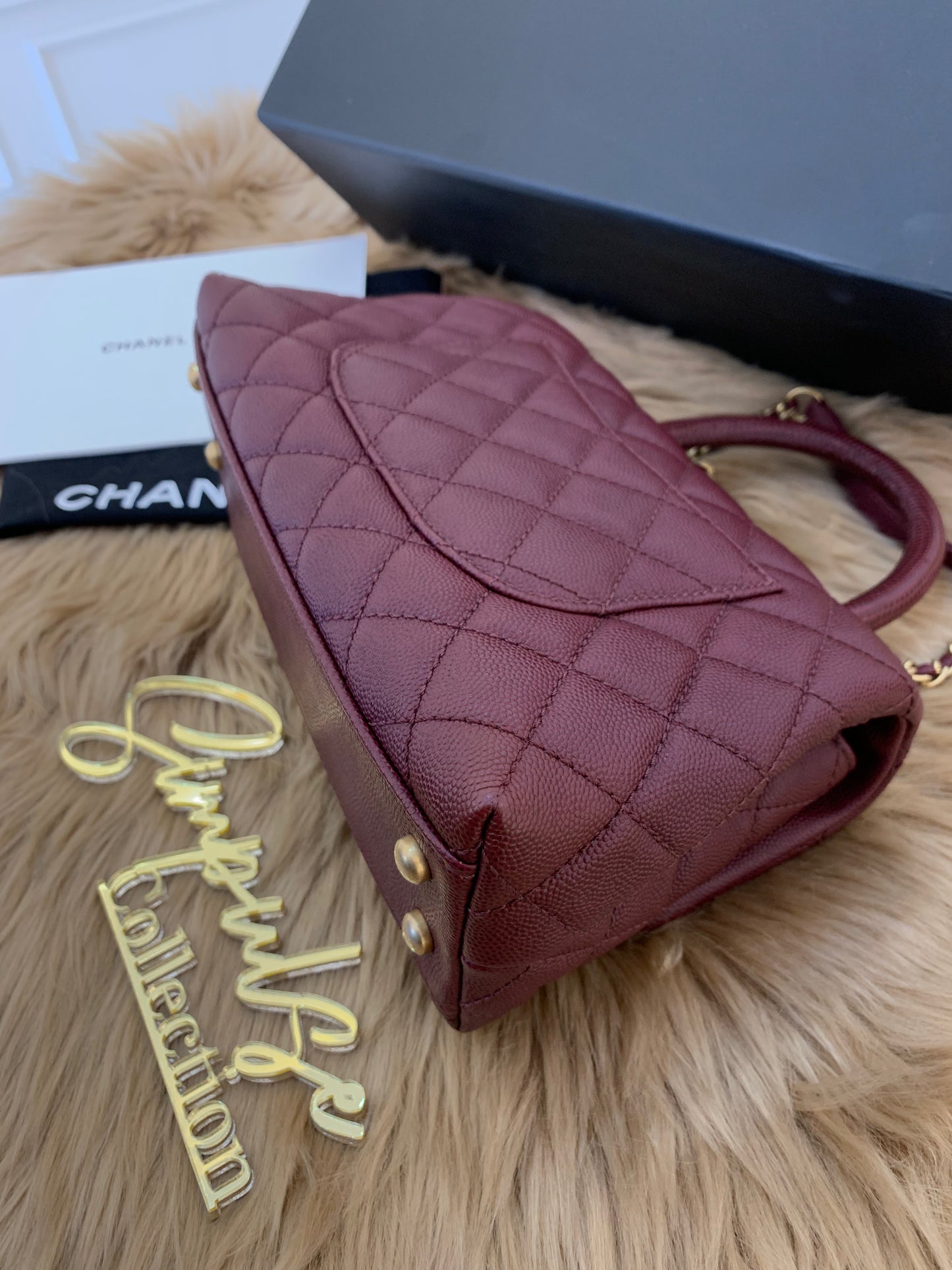 C Coco Small in Burgandy