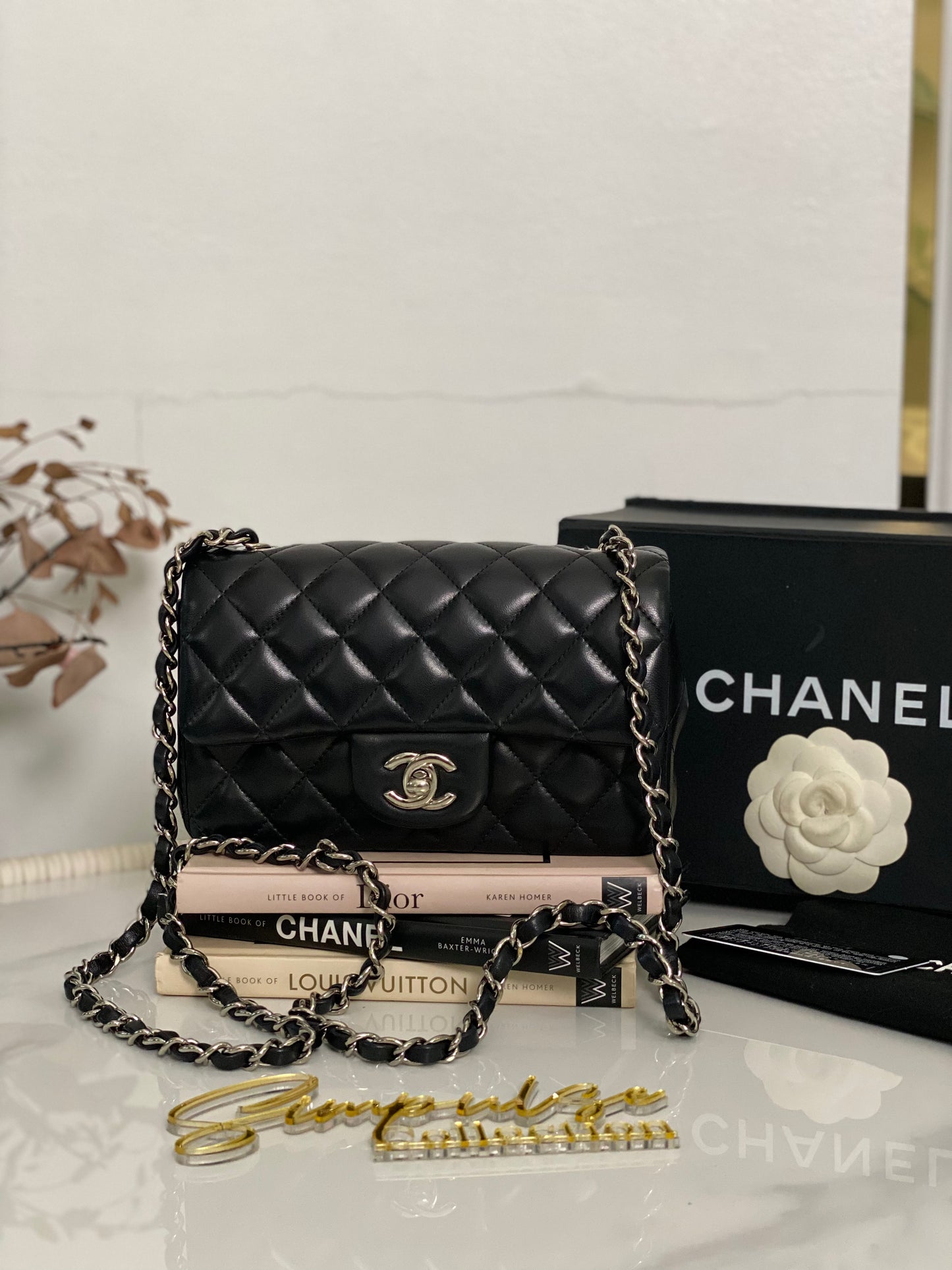 C Mini Rec Black in Lambskin Leather SHW