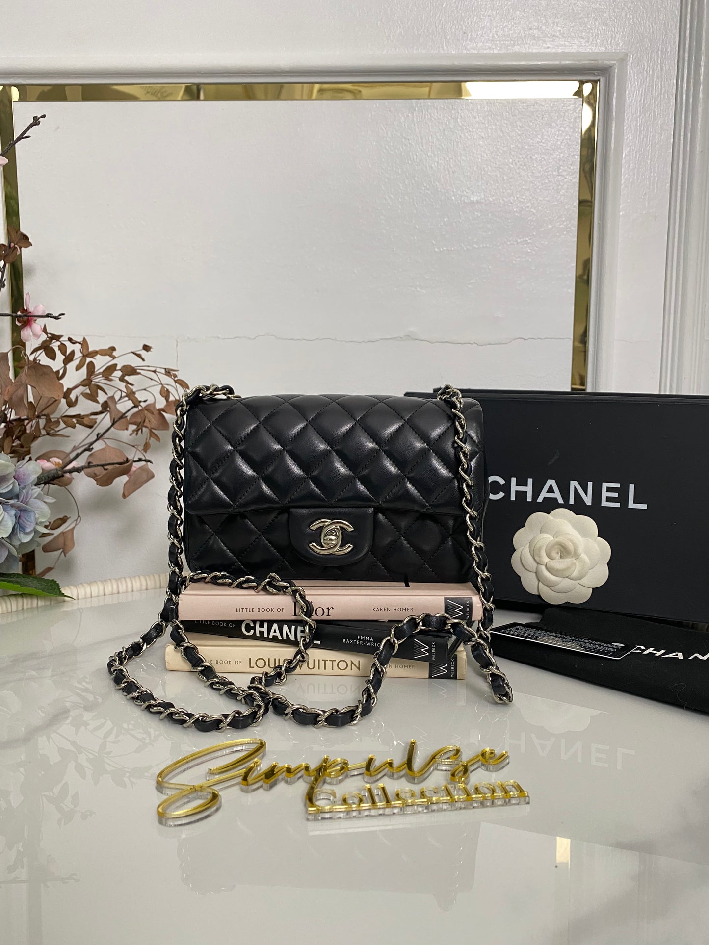 C Mini Rec Black in Lambskin Leather SHW