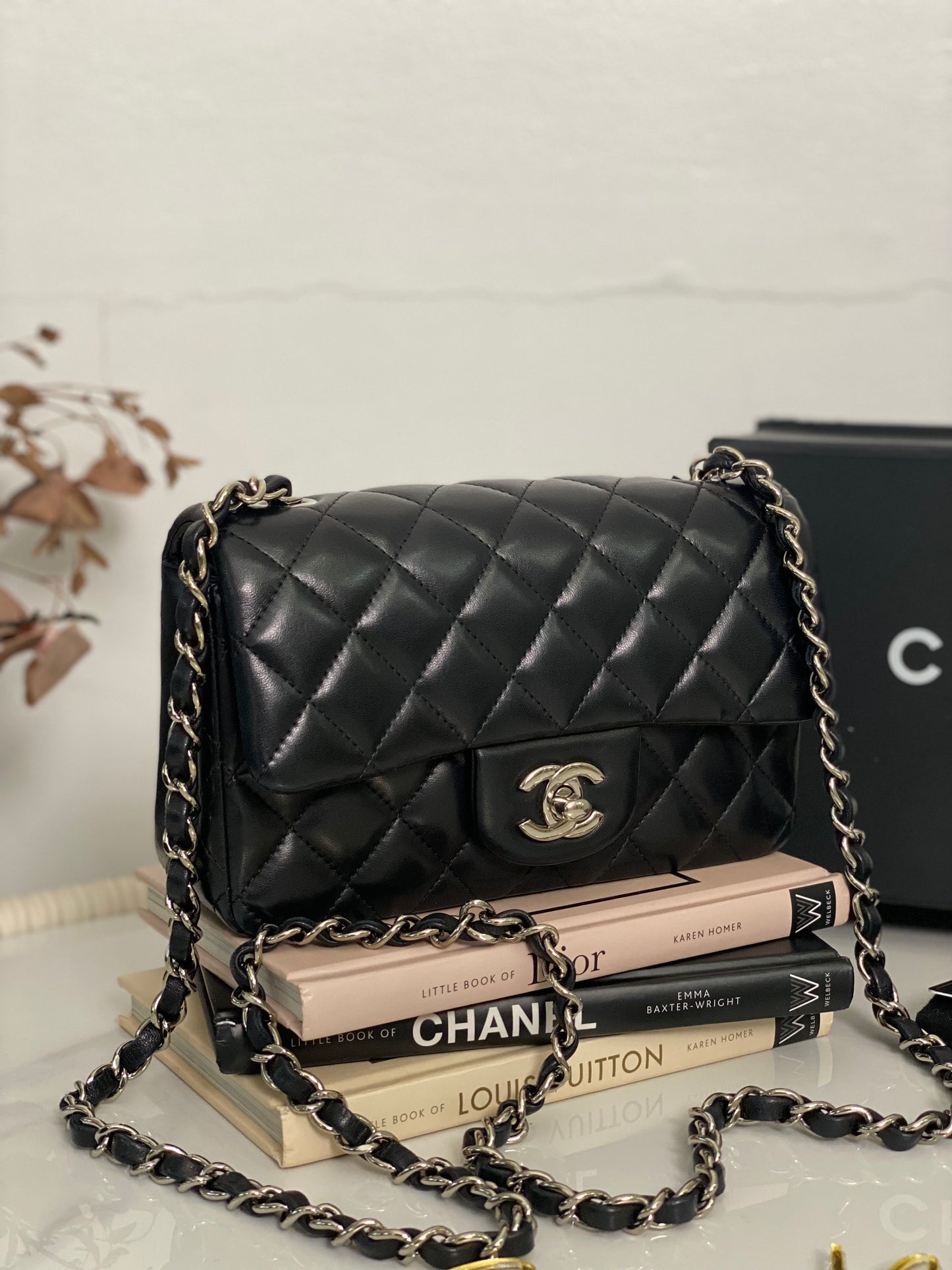 C Mini Rec Black in Lambskin Leather SHW