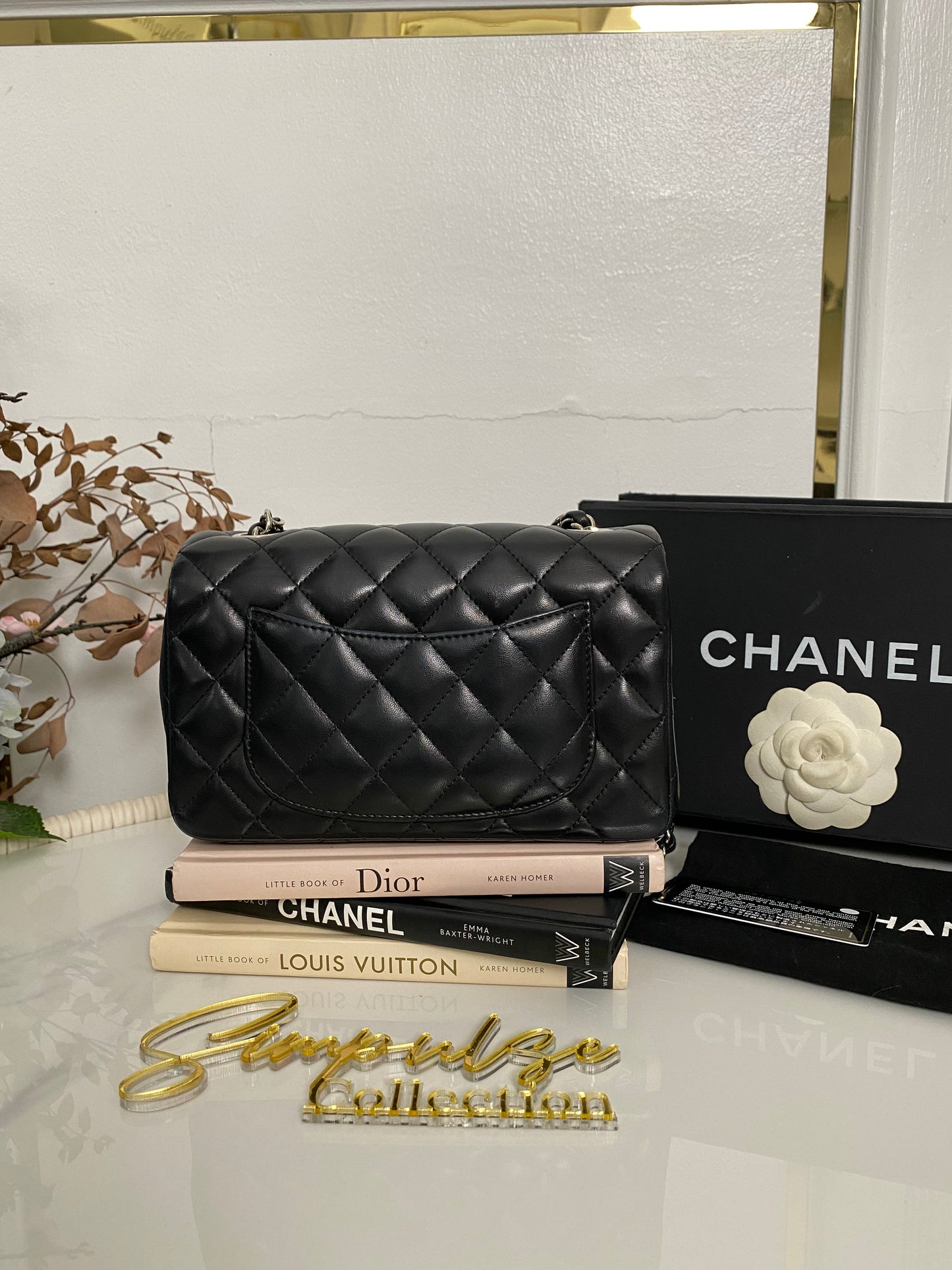 C Mini Rec Black in Lambskin Leather SHW