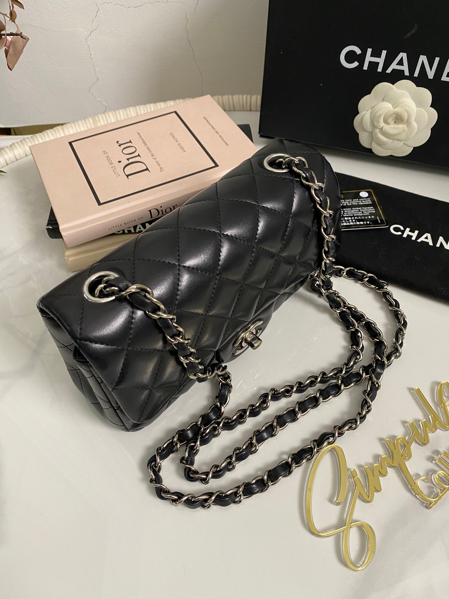 C Mini Rec Black in Lambskin Leather SHW