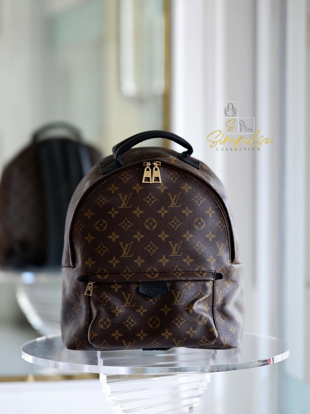LOUIS VUITTON Mono Palmspring Backpack Pm size