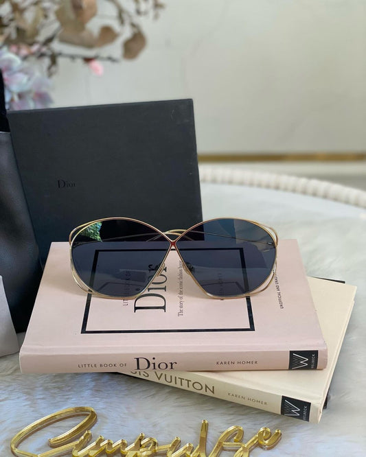 CD Dior Stellaire Sunglasses