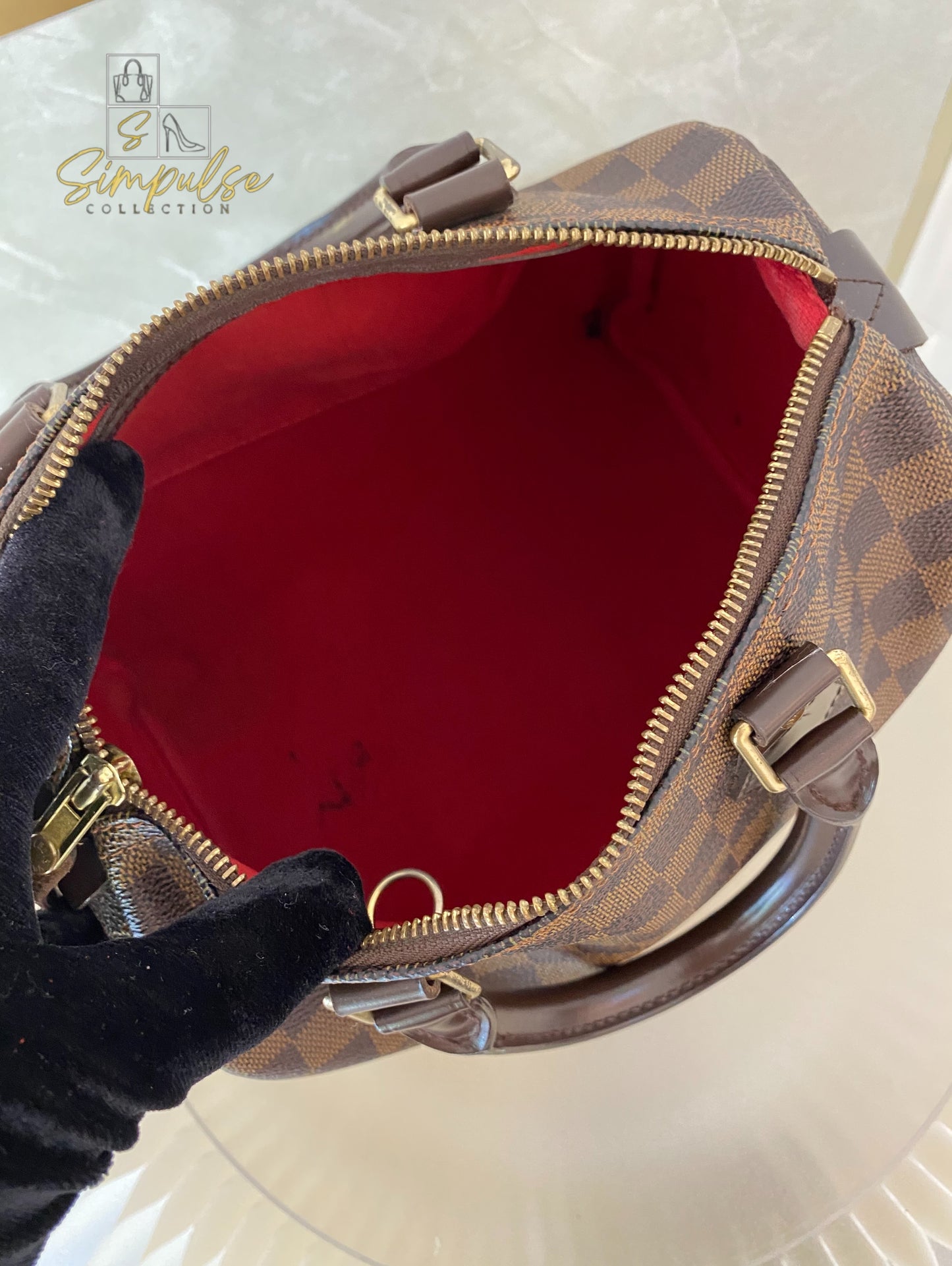 Louis Vuitton Speedy 25 in Damier Ebene
