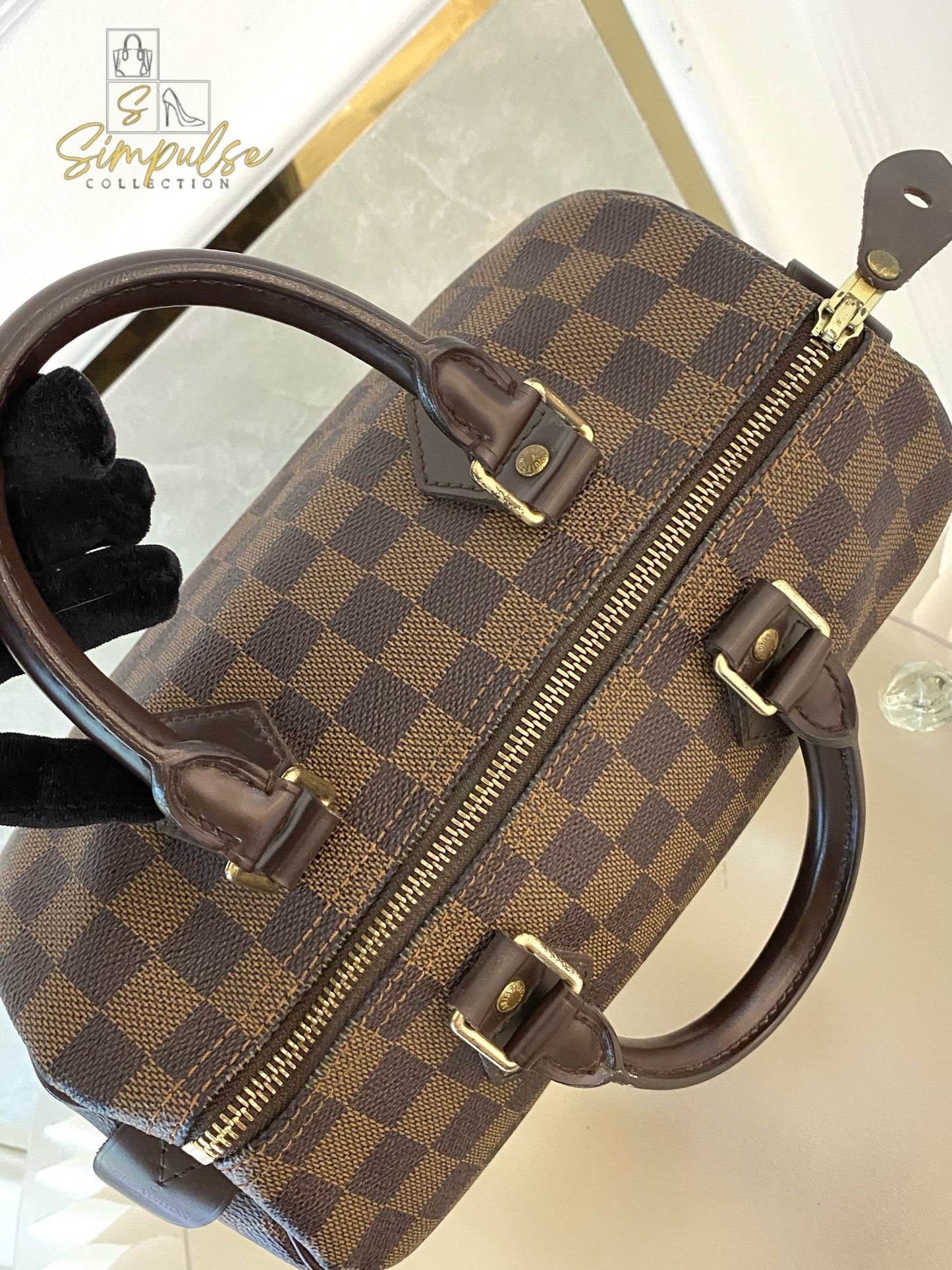 Louis Vuitton Speedy 25 in Damier Ebene