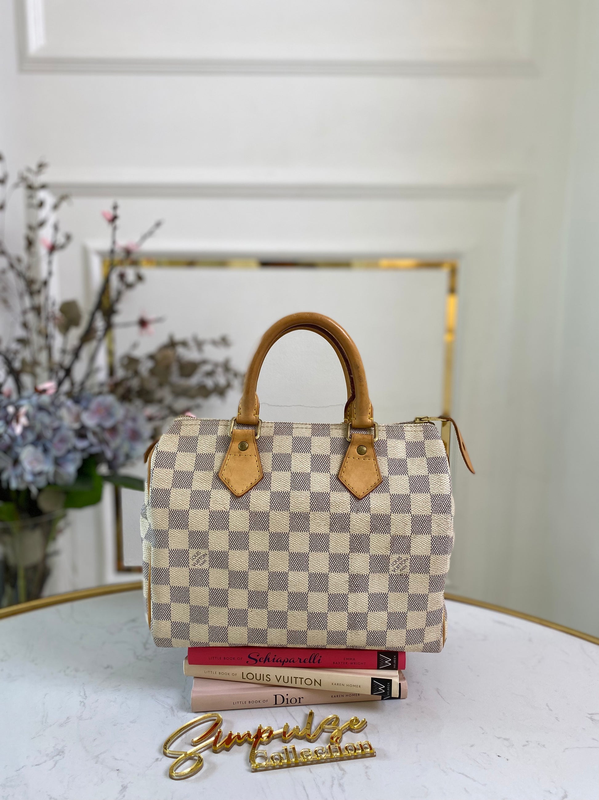 Louis Vuitton Speedy 25 Azur - Main Image