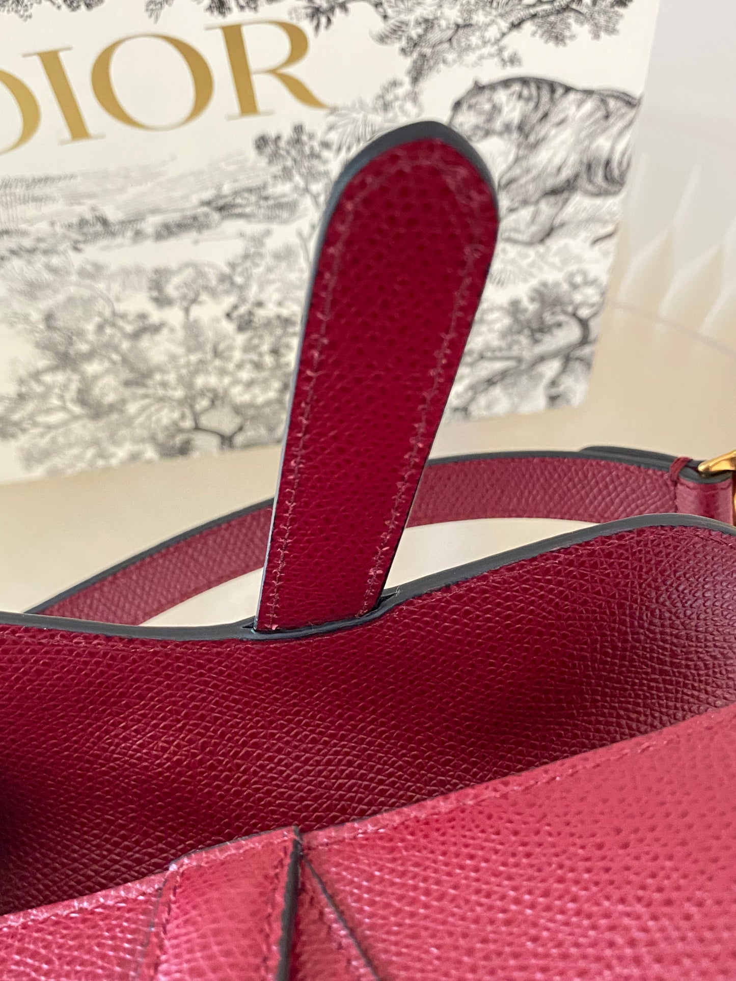 CD Red Mini Saddle Grained Leather GHW