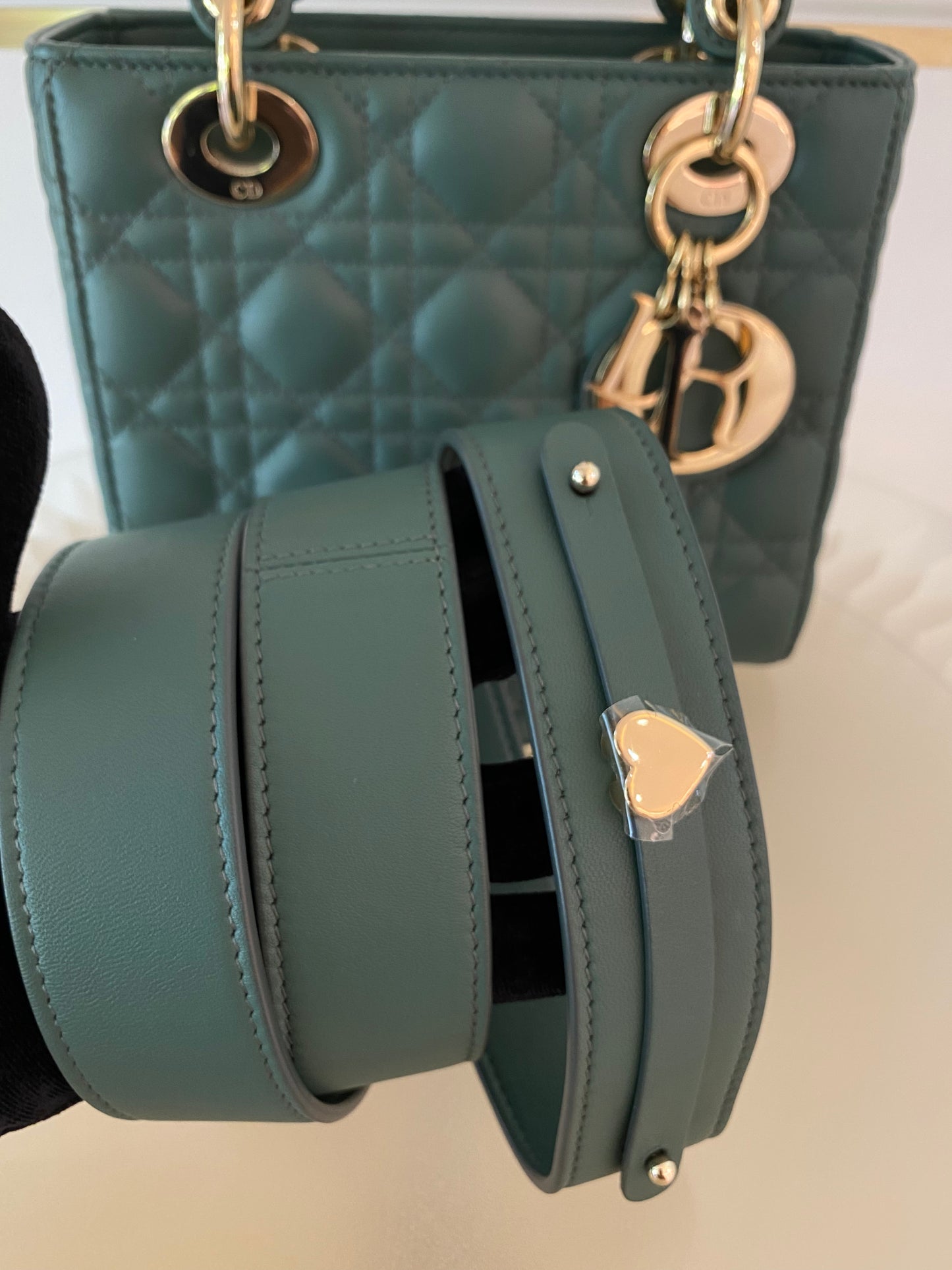 Lady D Small Cannage Lambskin SHW