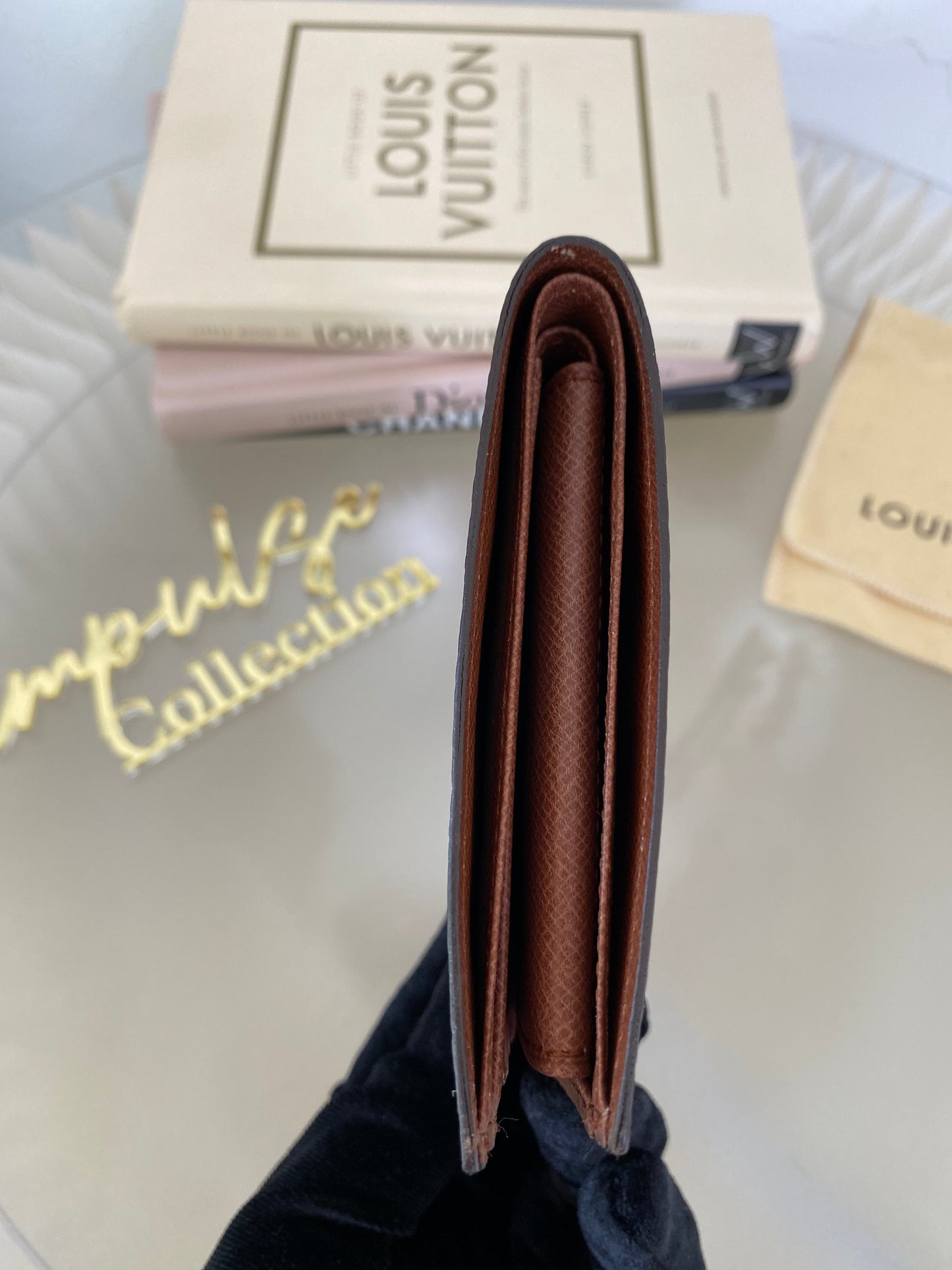 Louis Vuitton Mono Bifold Wallet
