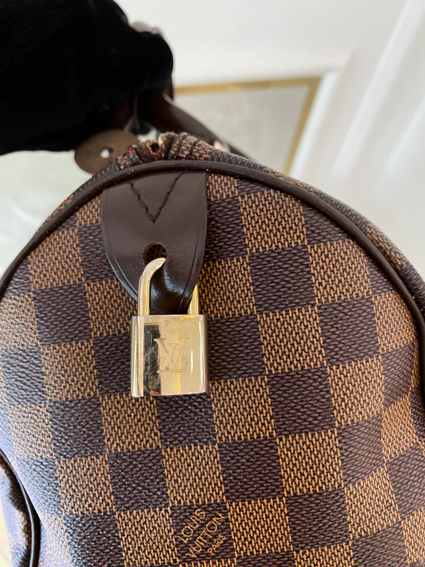 LOUIS VUITTON Speedy 30 in Damier Ebene