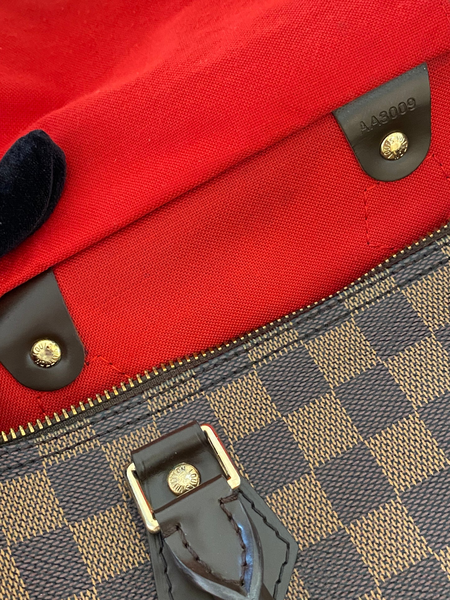 LOUIS VUITTON Speedy 30 in Damier Ebene