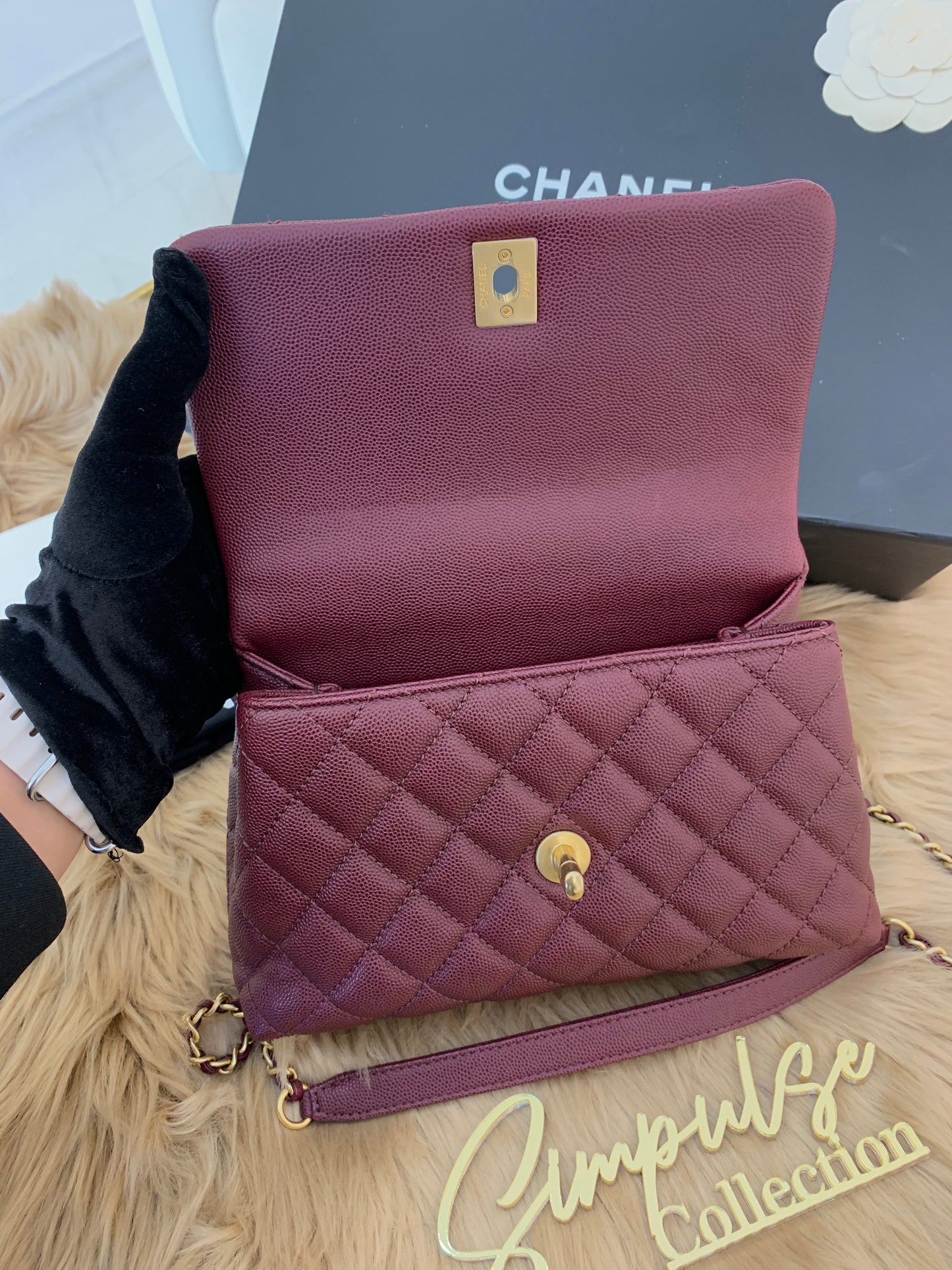 C Coco  Small in Burgandy