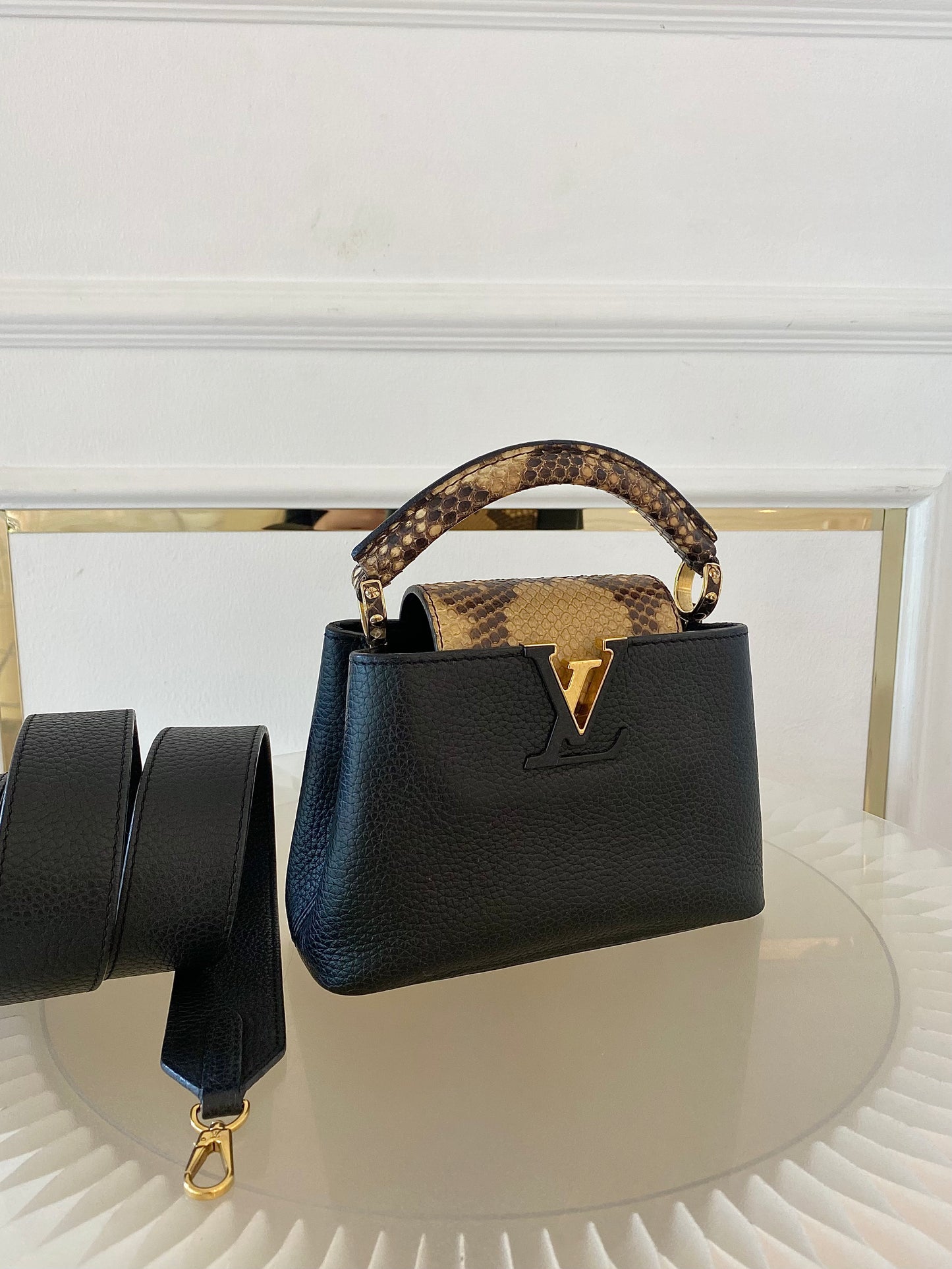 Mini Python Capuccine