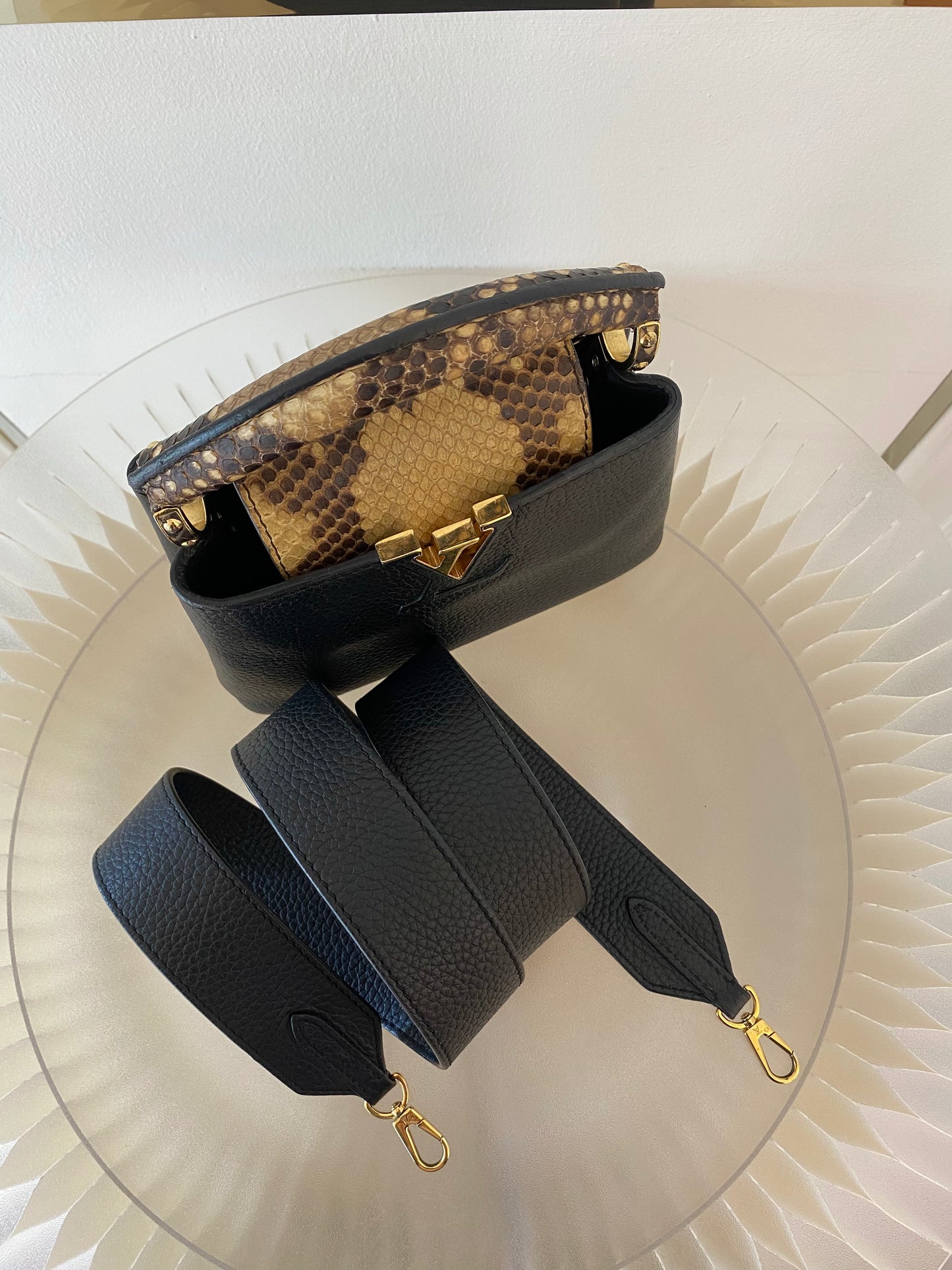 Mini Python Capuccine