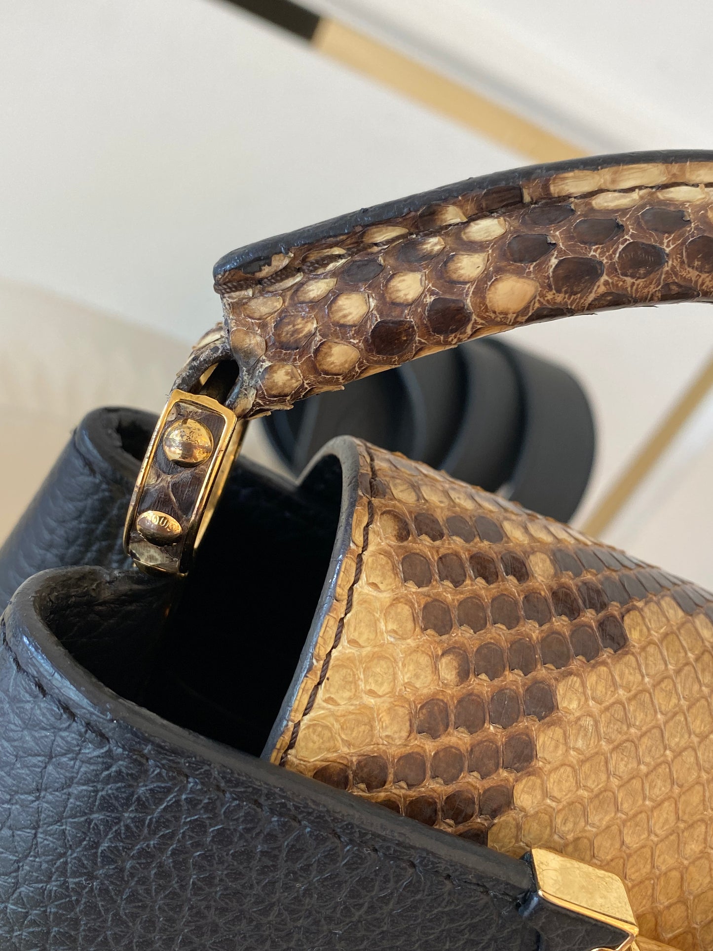 Mini Python Capuccine
