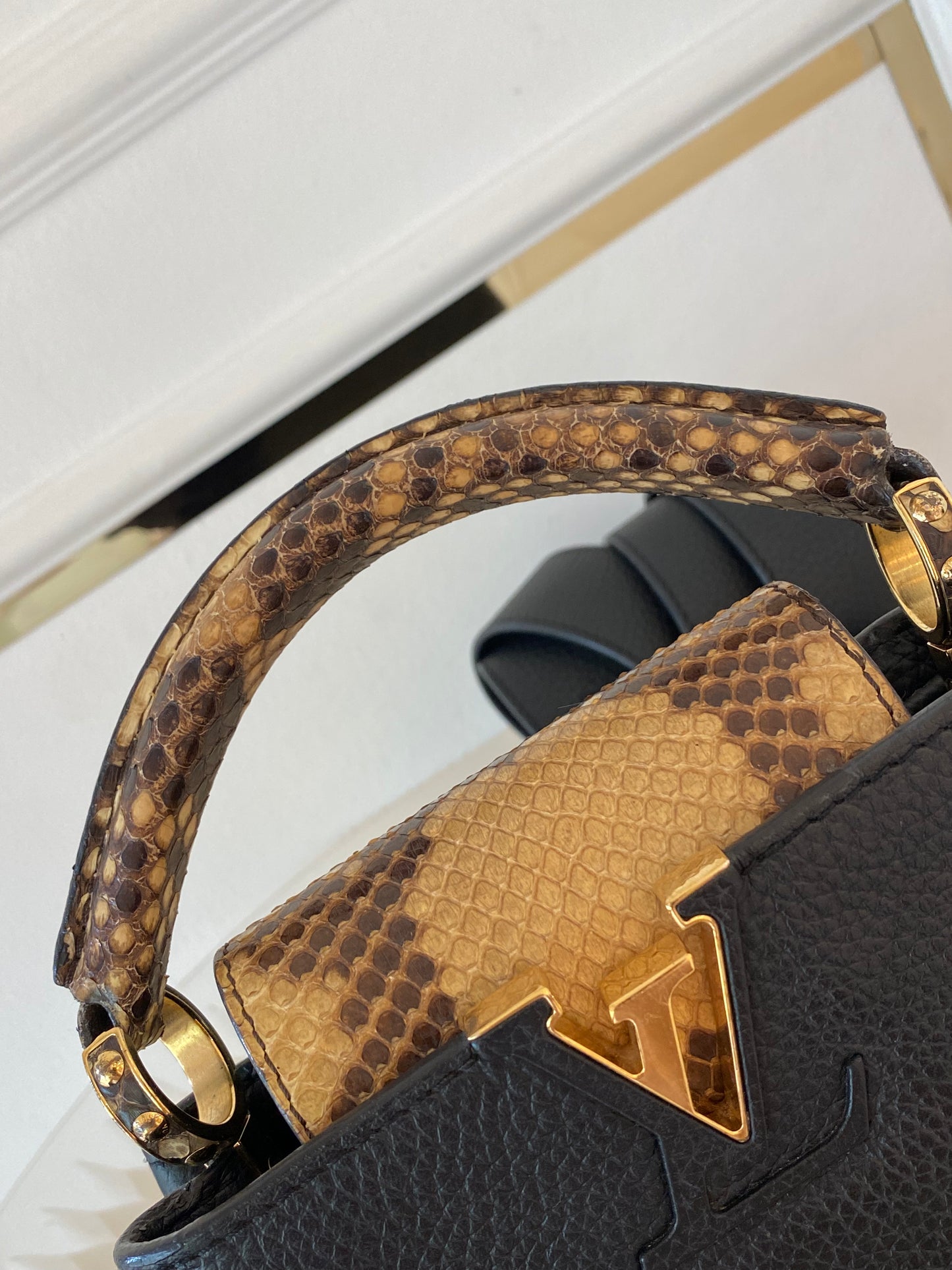 Mini Python Capuccine