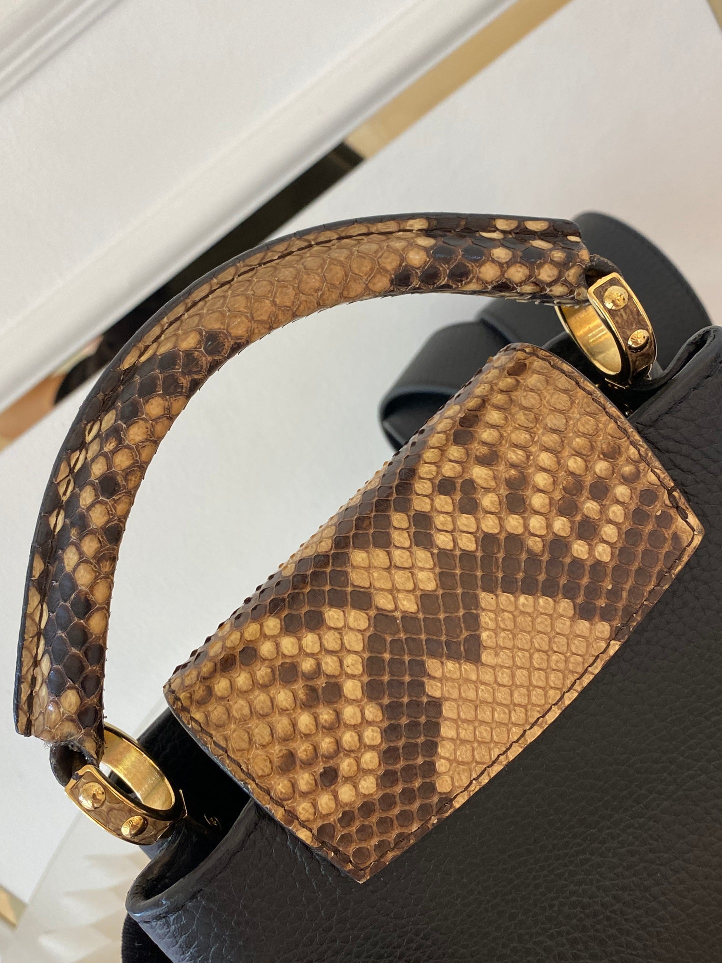 Mini Python Capuccine
