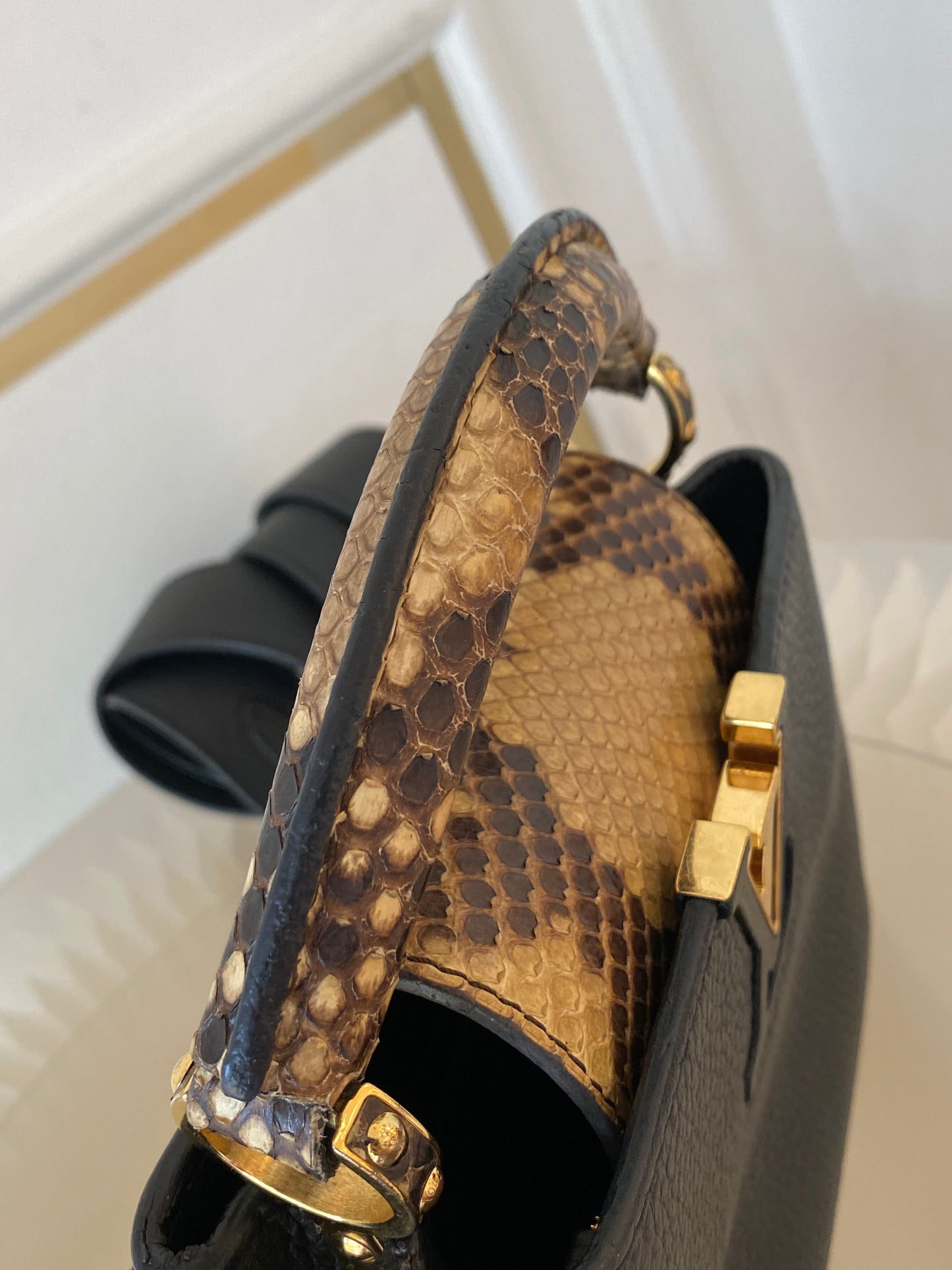 Mini Python Capuccine