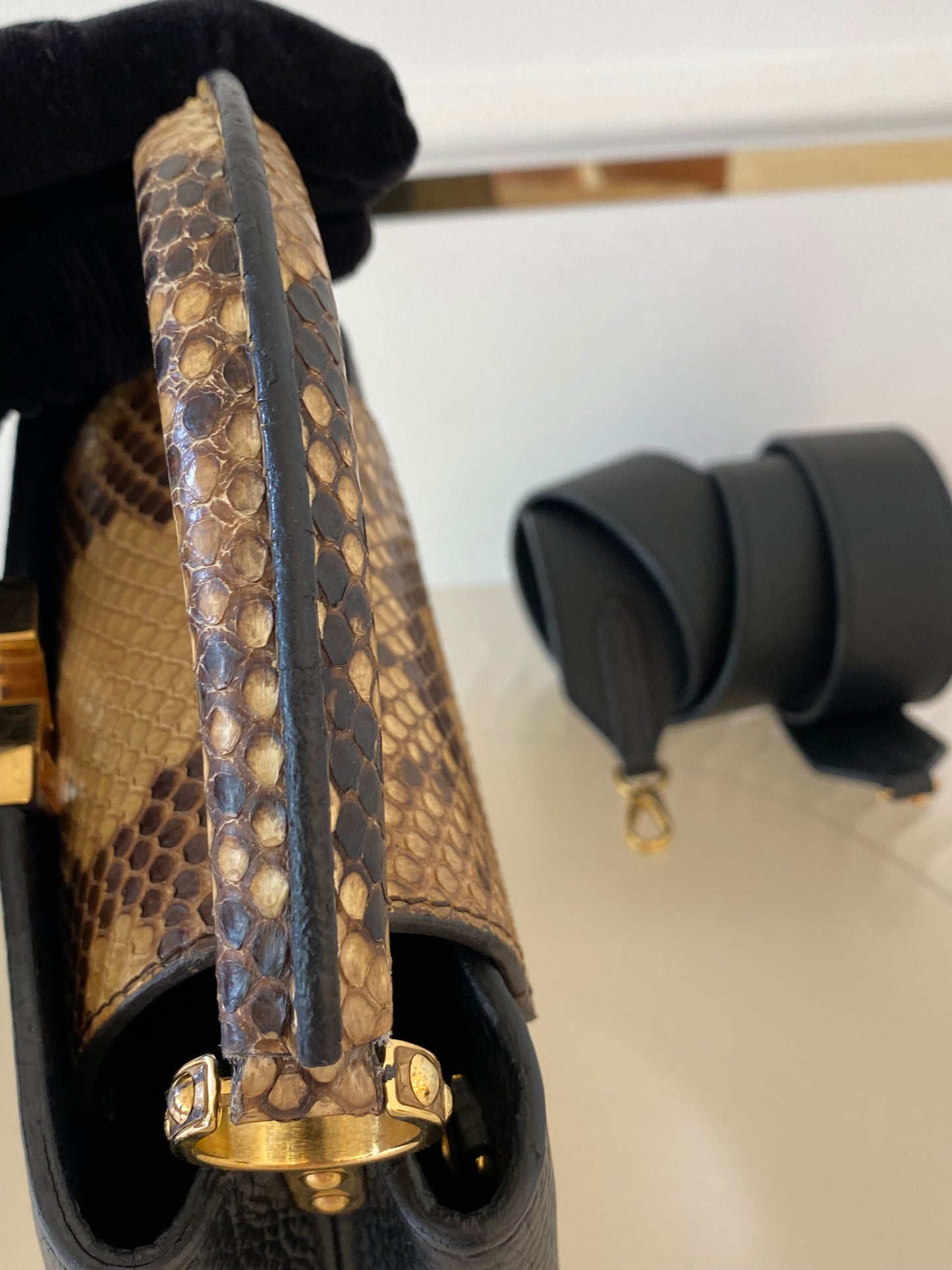 Mini Python Capuccine