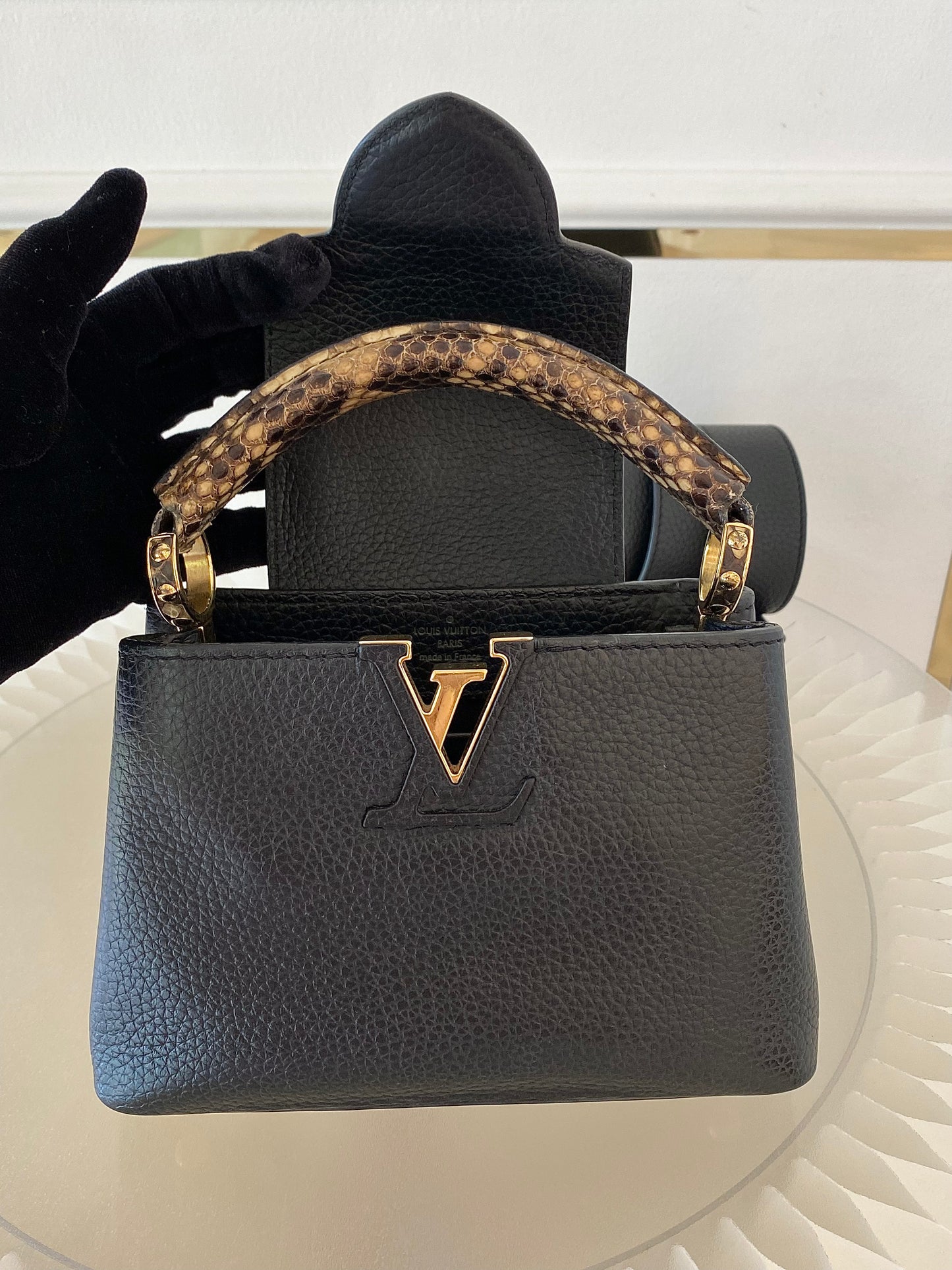 Mini Python Capuccine