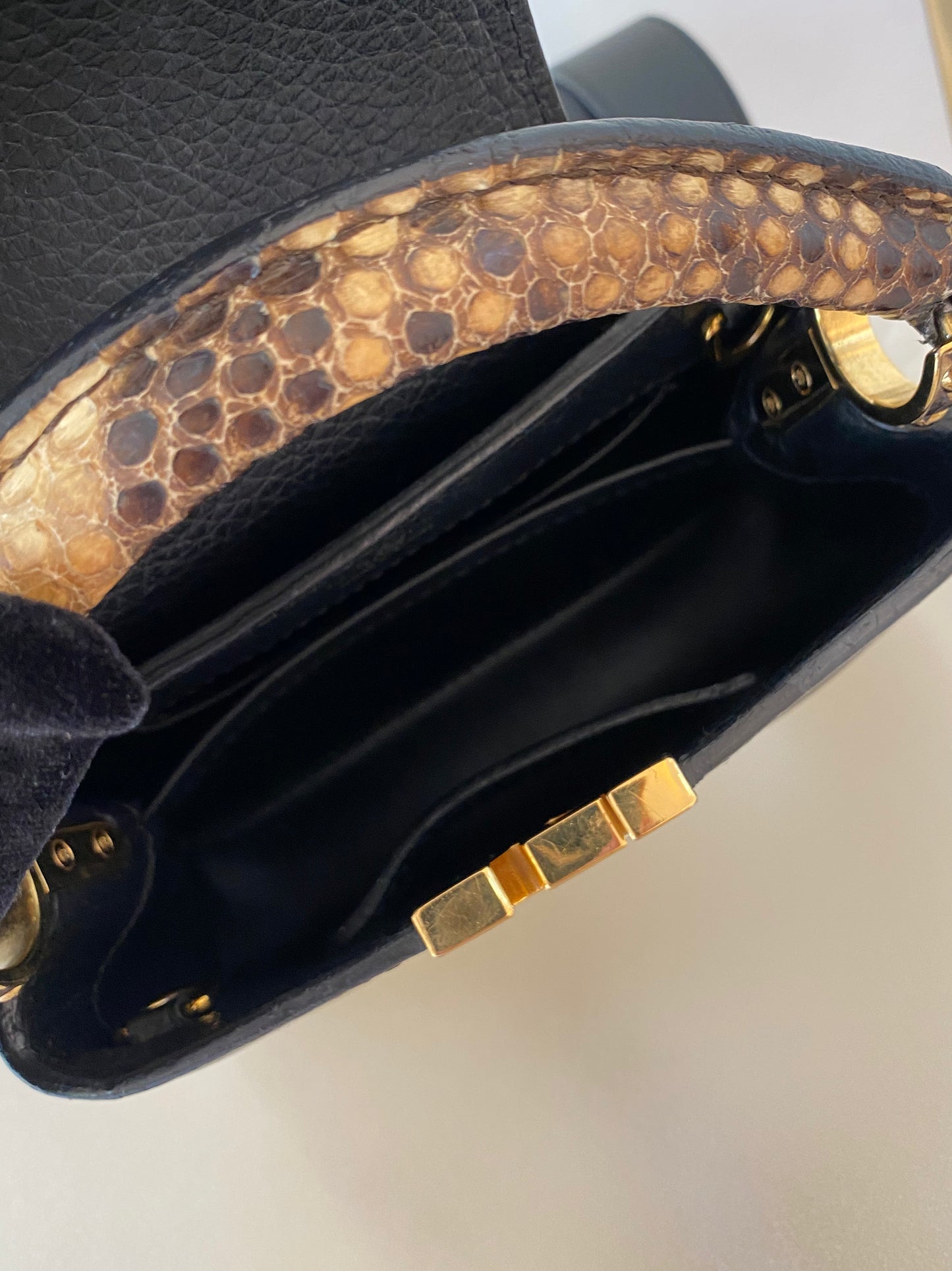 Mini Python Capuccine