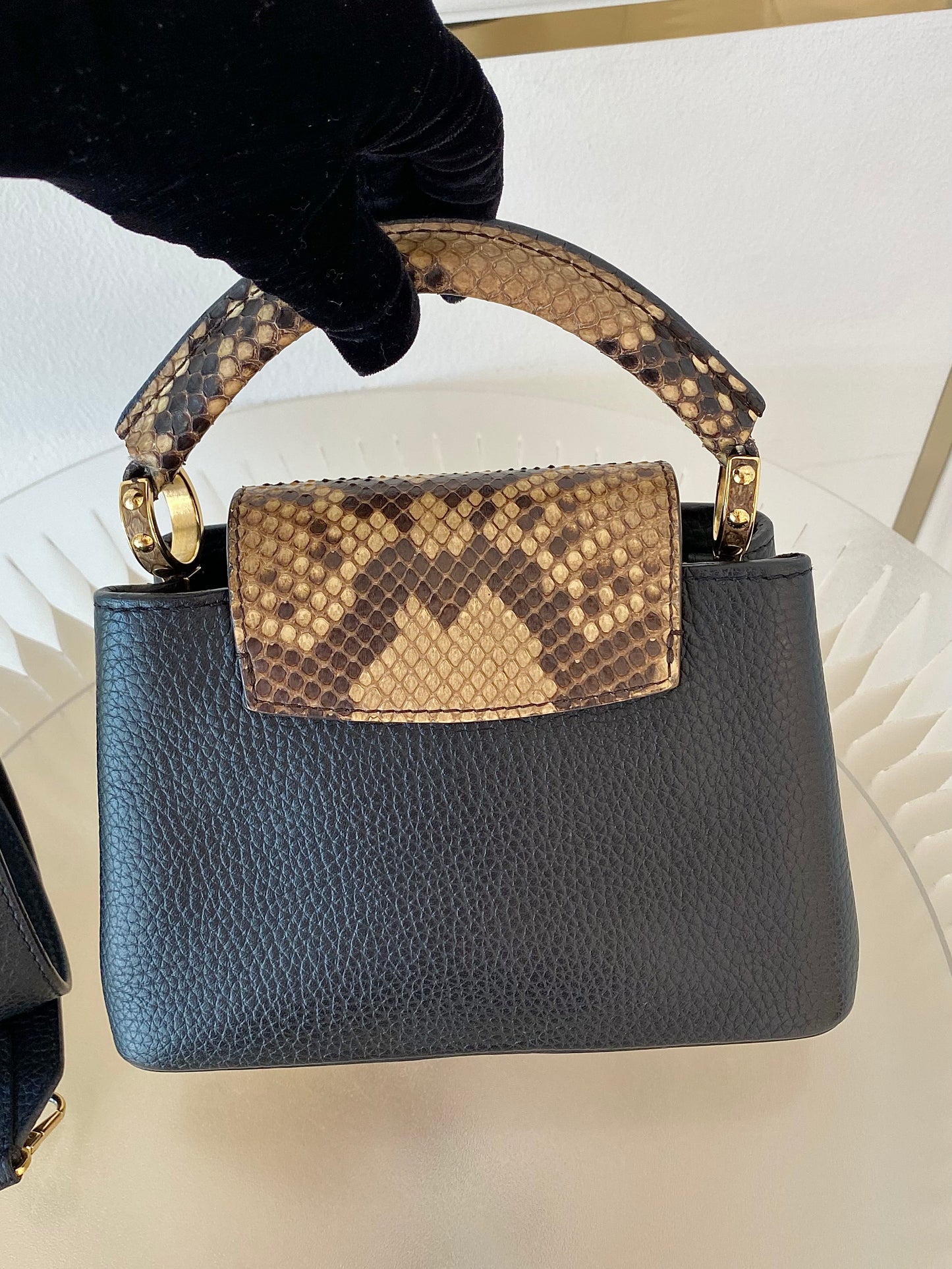 Mini Python Capuccine